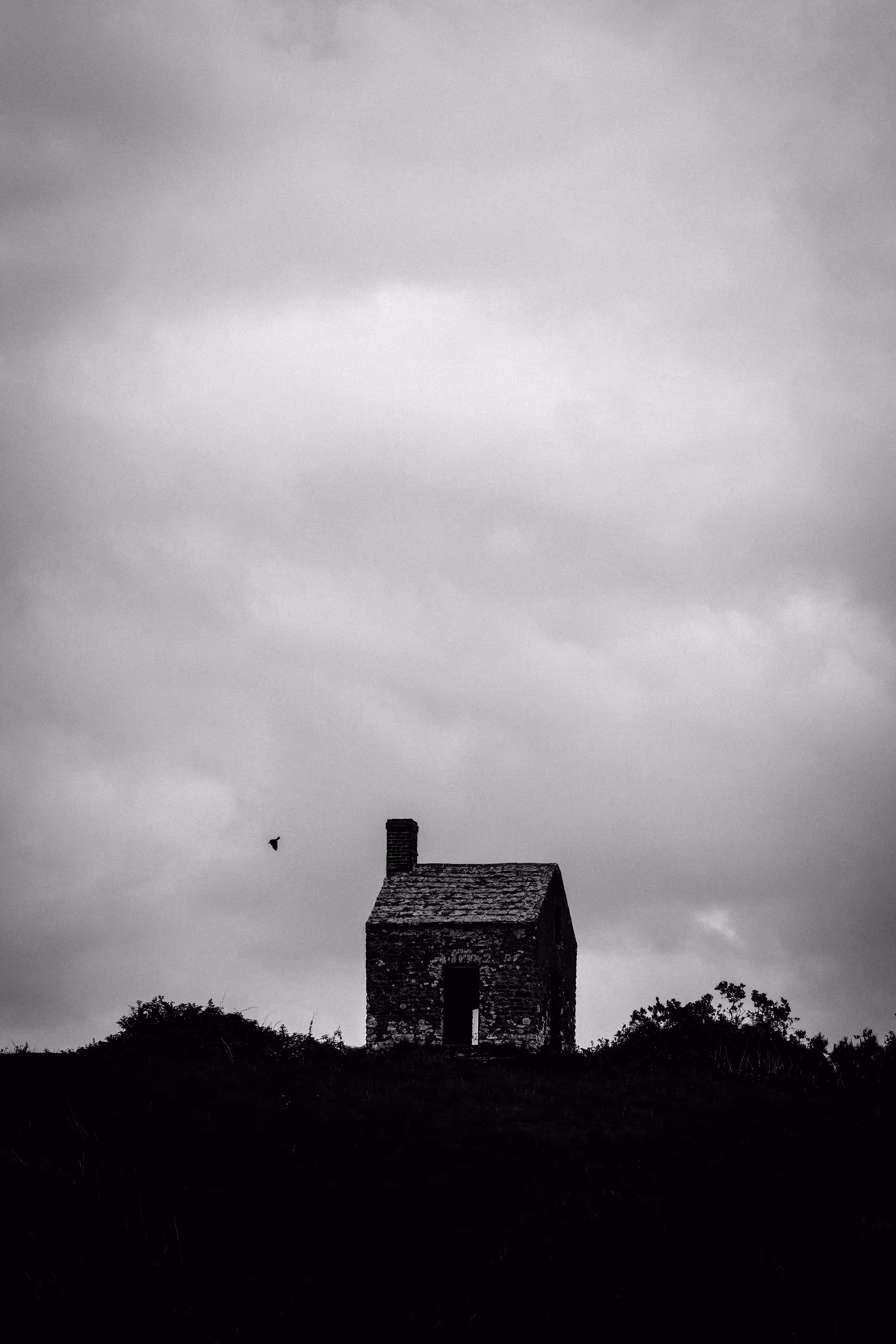The Solace of Solitude 