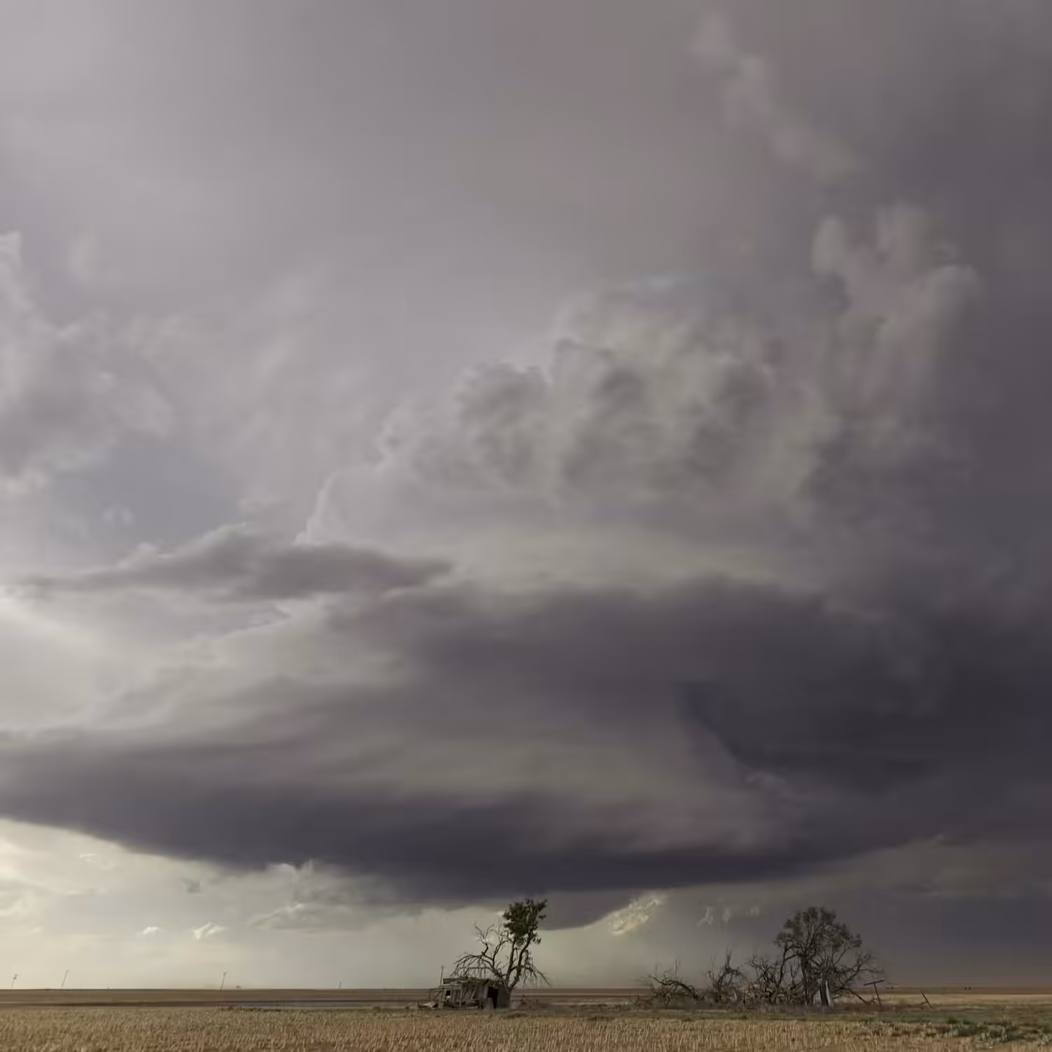 Endless Storms: #3 - Texas Vacuum