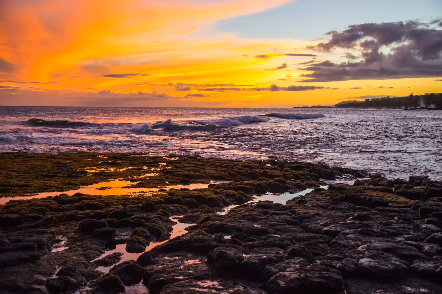 Nukumoi Point @ Poipu Beach 02