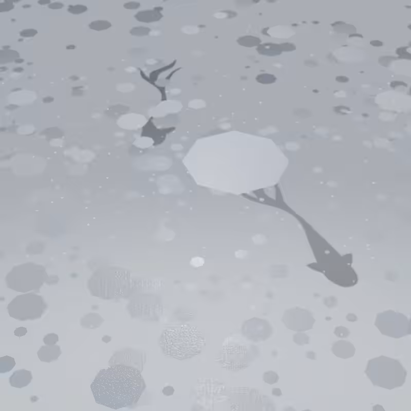 Pond #65