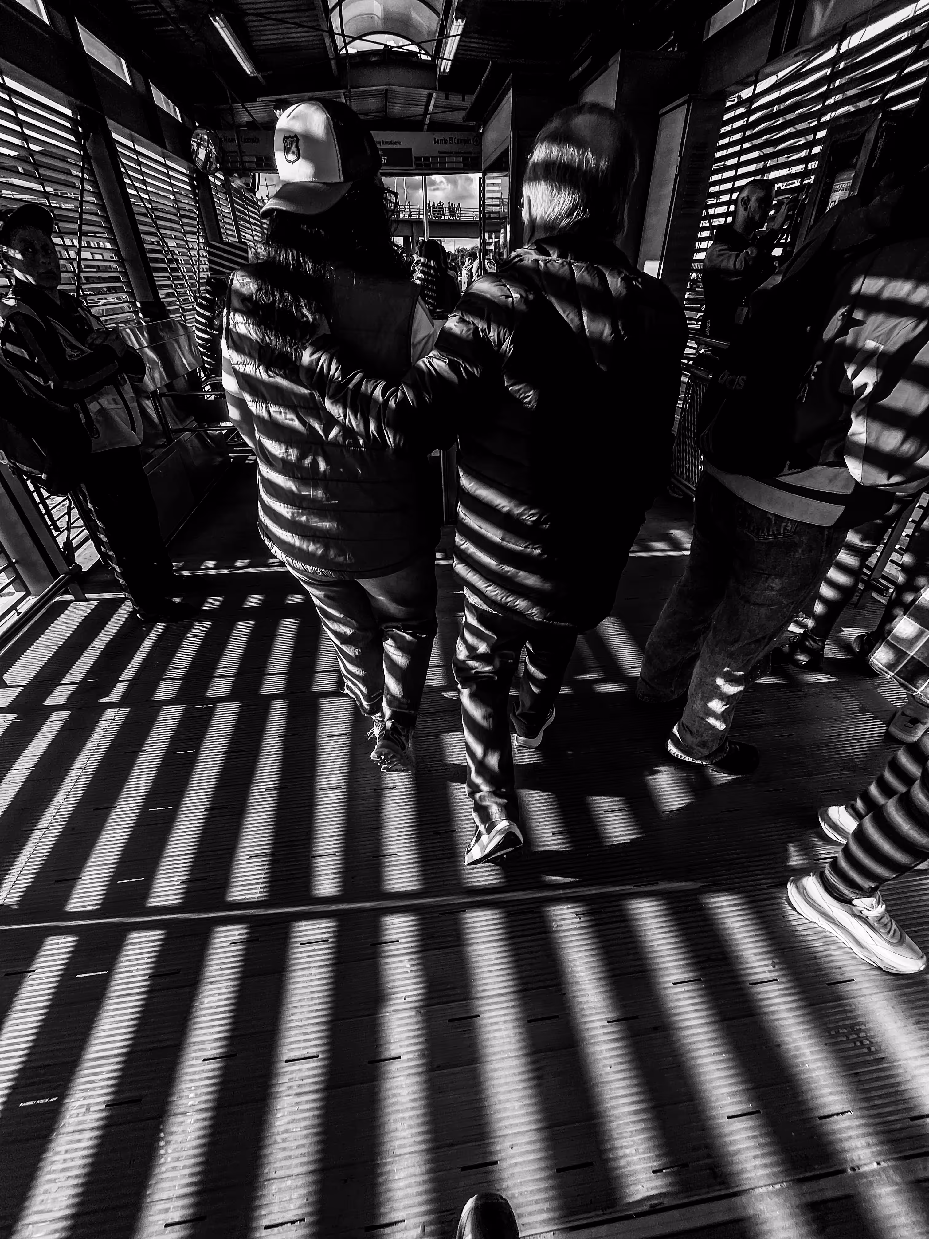 Striped in Motion