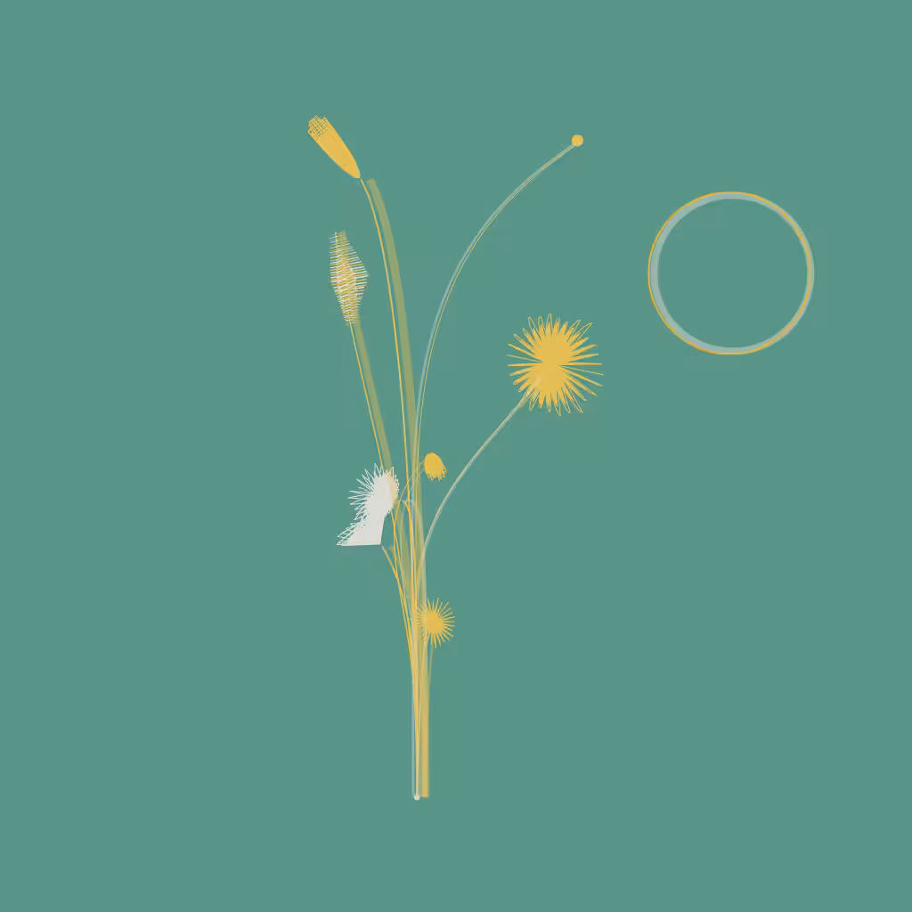 TO THE AIR #35