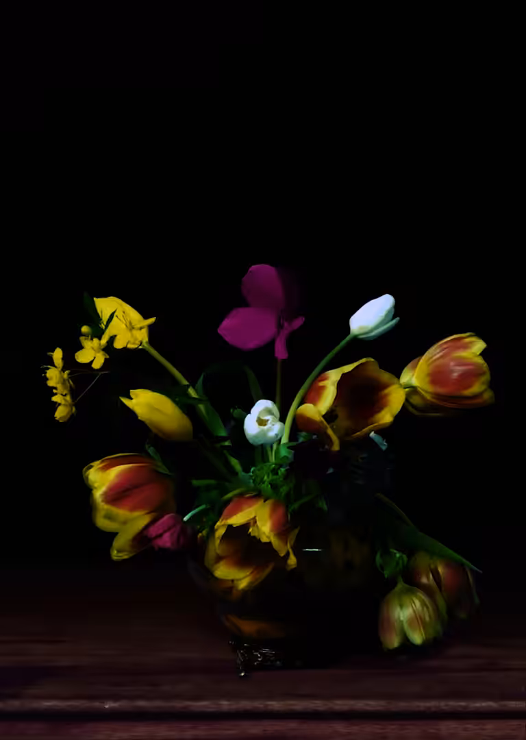 Tulips in a vase