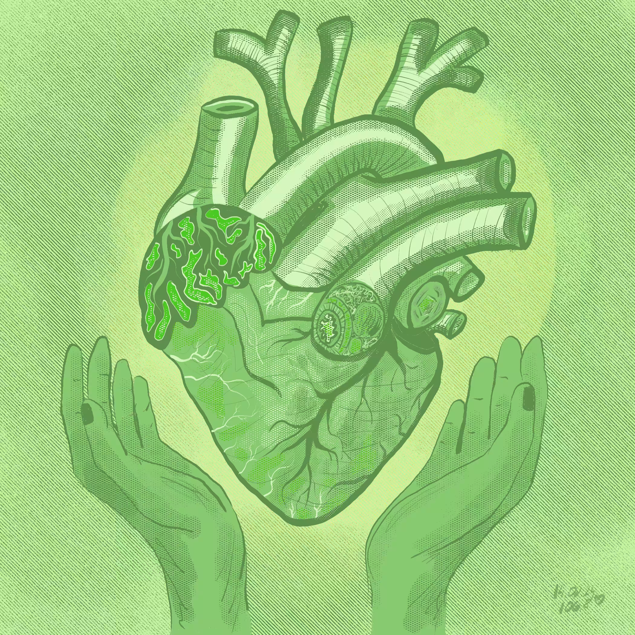 Day 25