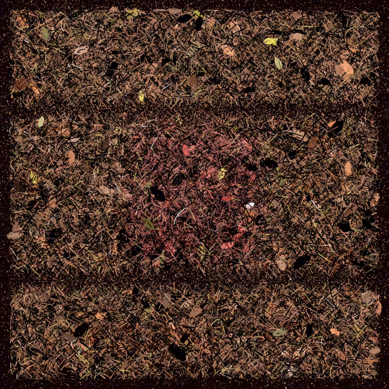 Into the Forestland #48