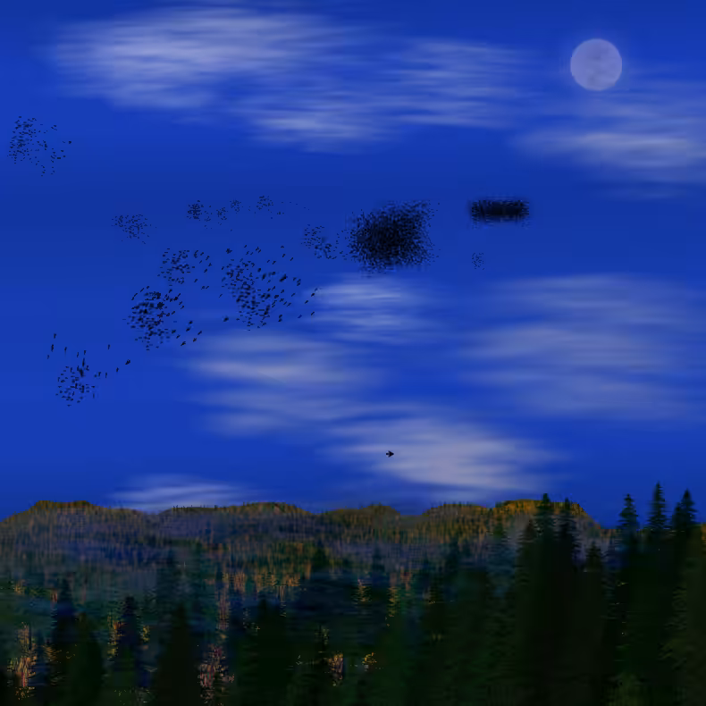 Starlings #26