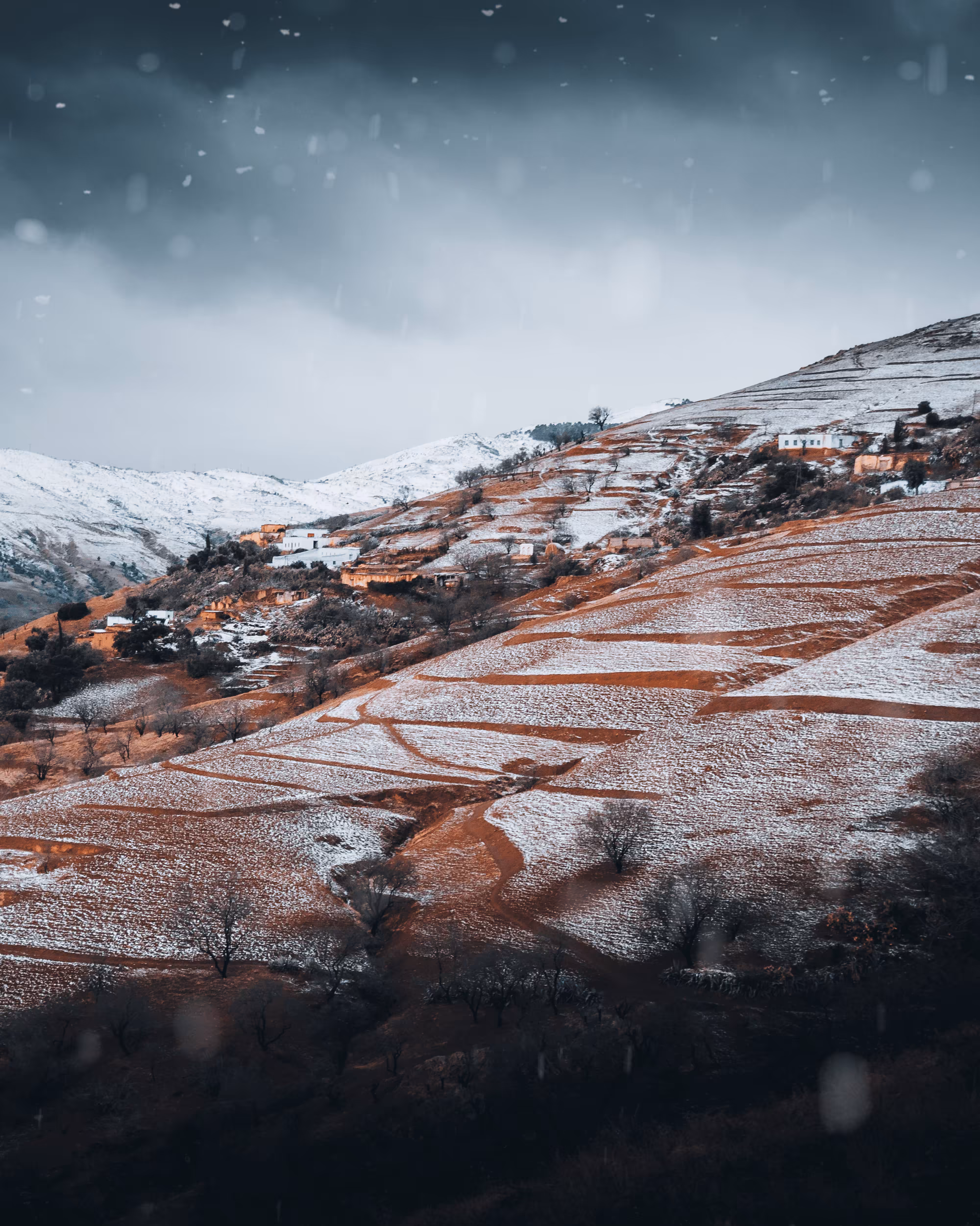 A snowy morning 