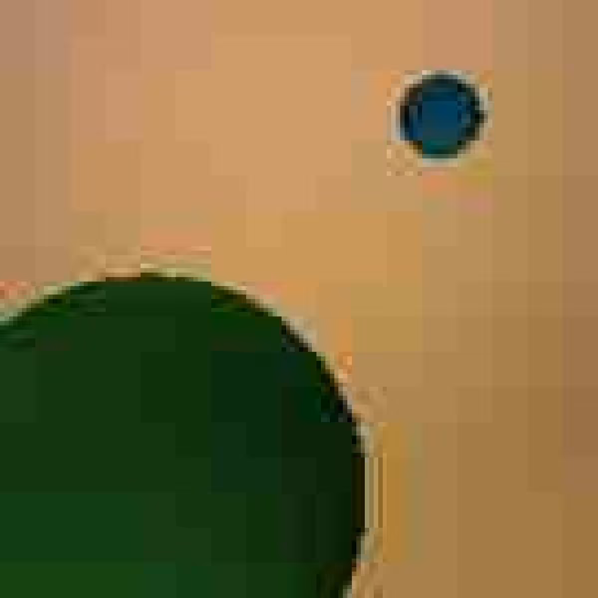 Orbit 561202766