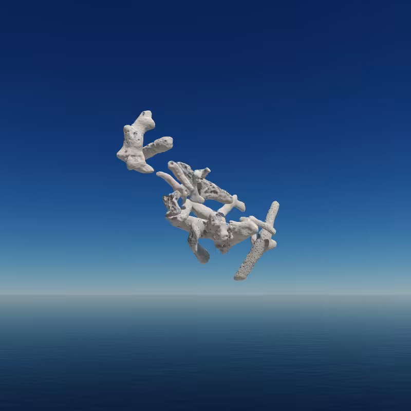 Bone Work (Gulf of Mexico) 2022 #81