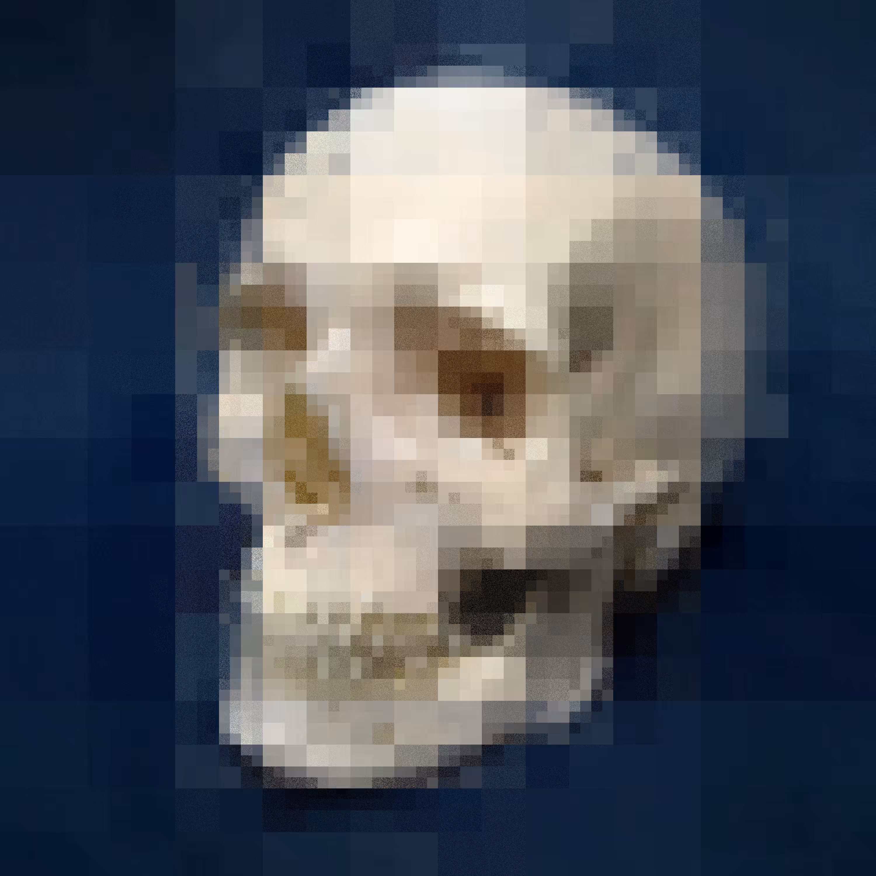 Pixel Skull Vanitas 39