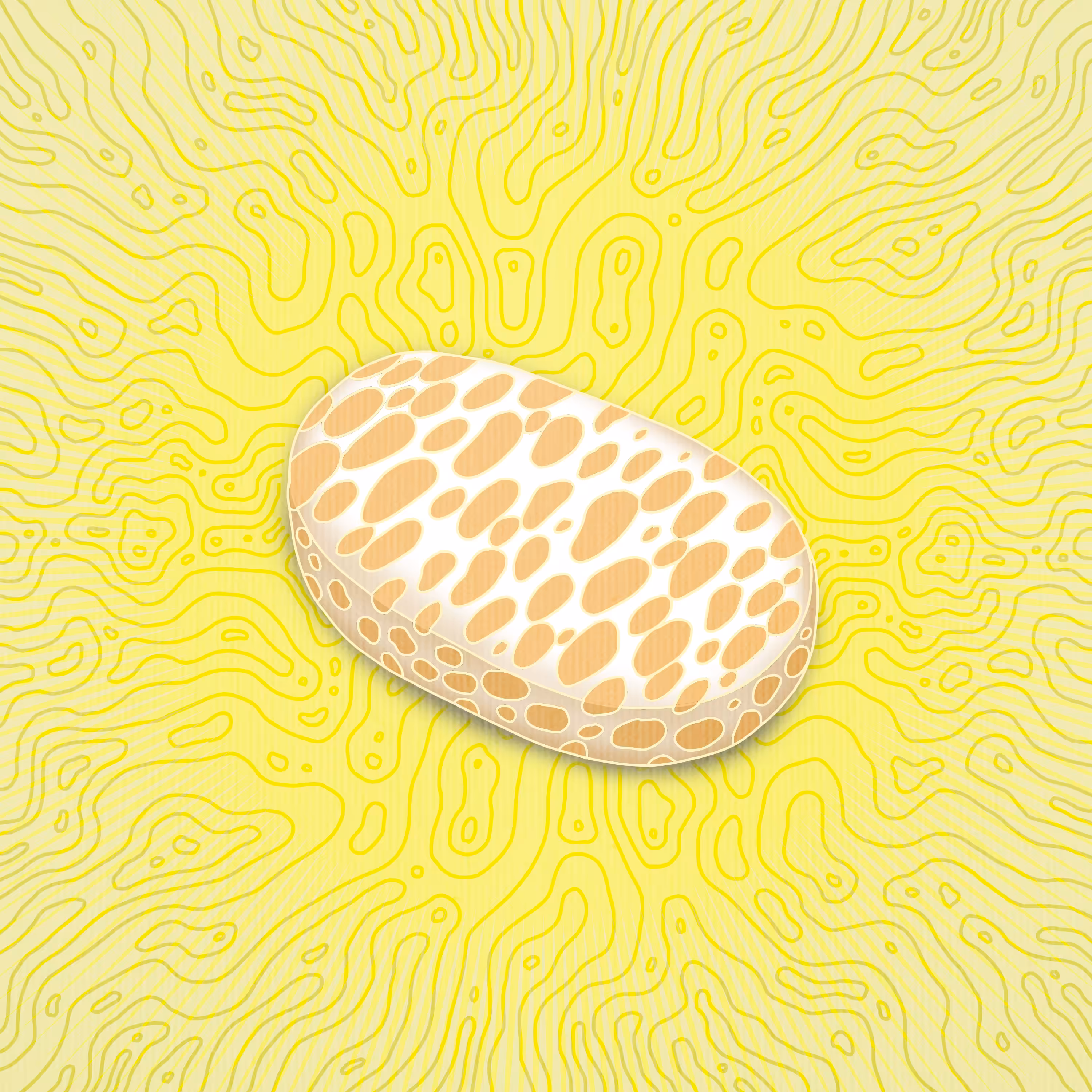 Tempeh
