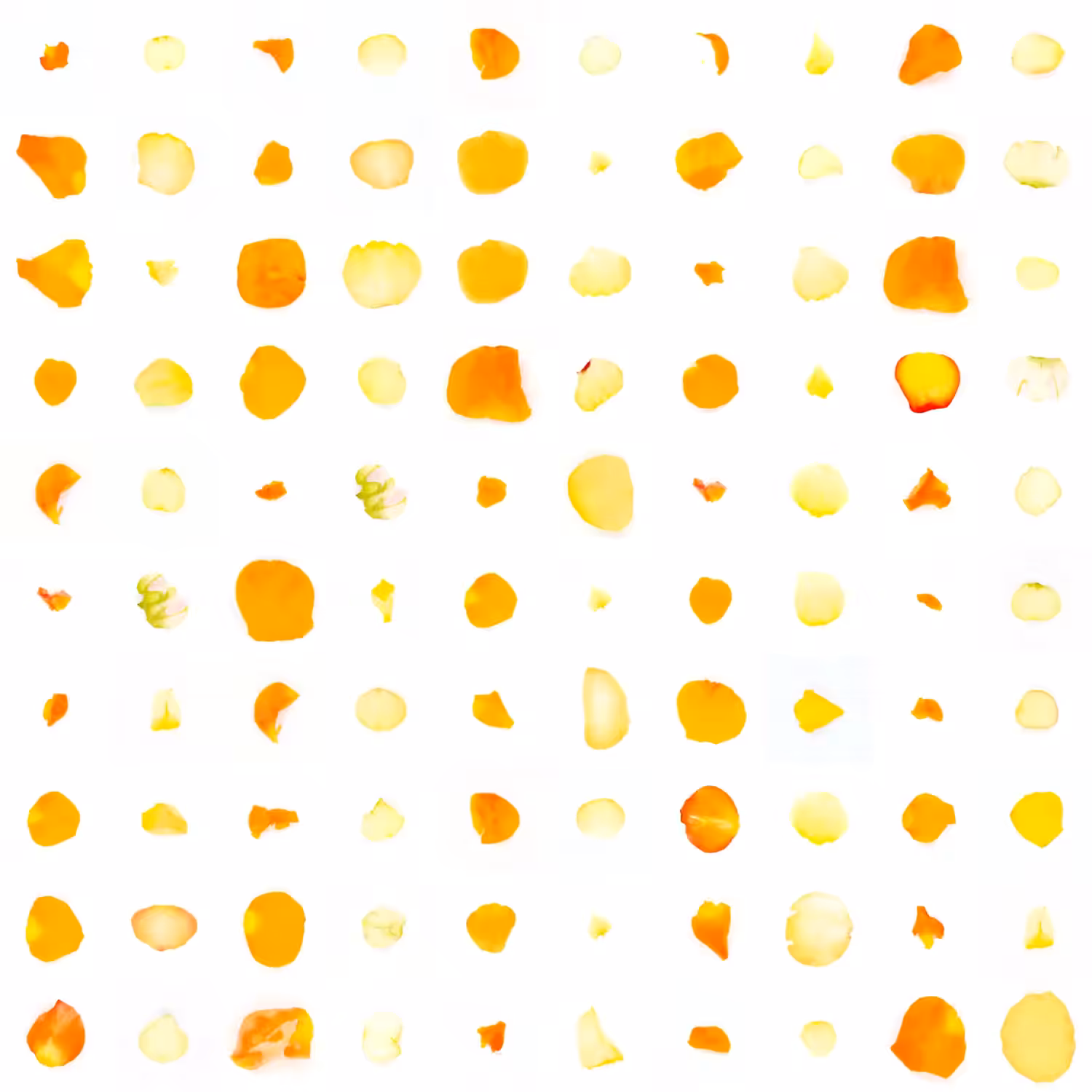 Infinite Petals 10x10#1835