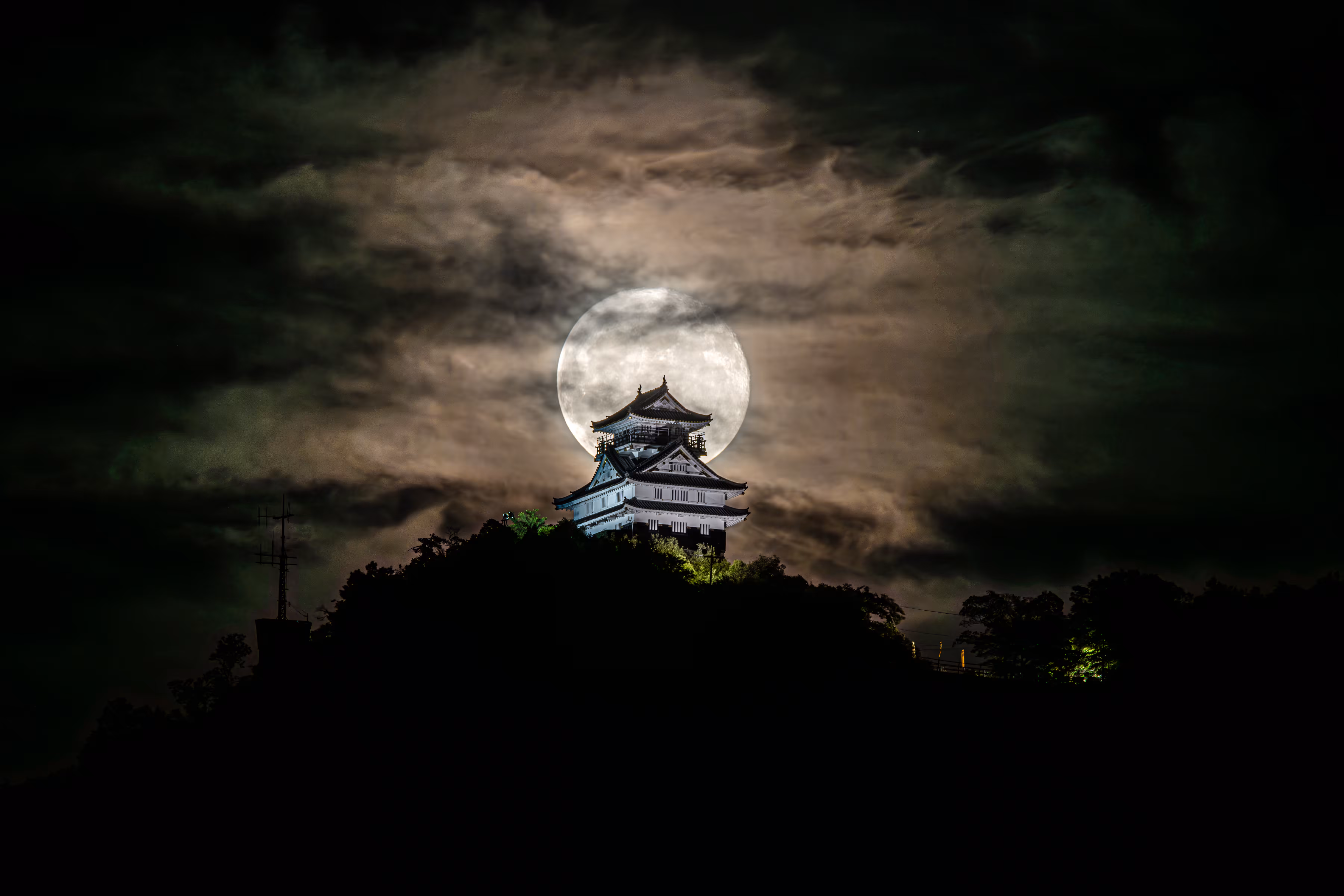 十六夜-IZAYOI