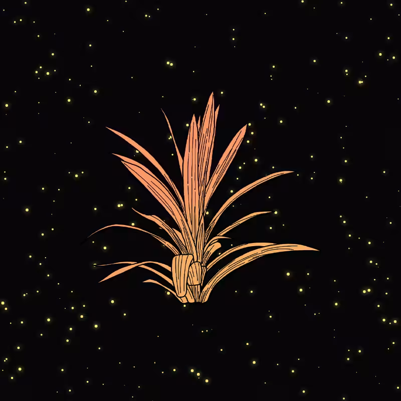 An Extraordinary Plant #4