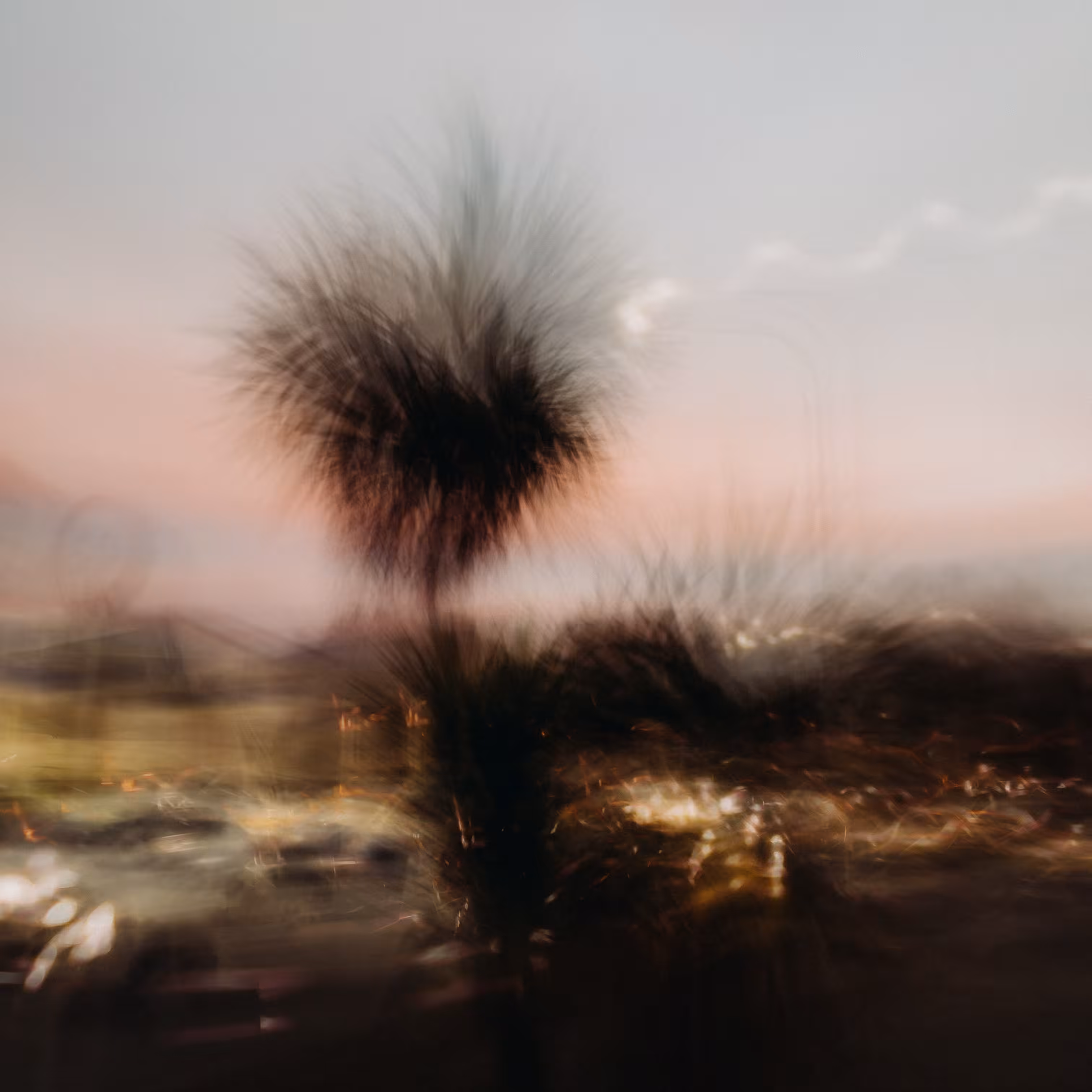 Twilight Rush