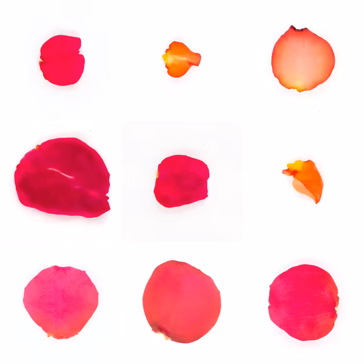 Infinite Petals 3x3#3909