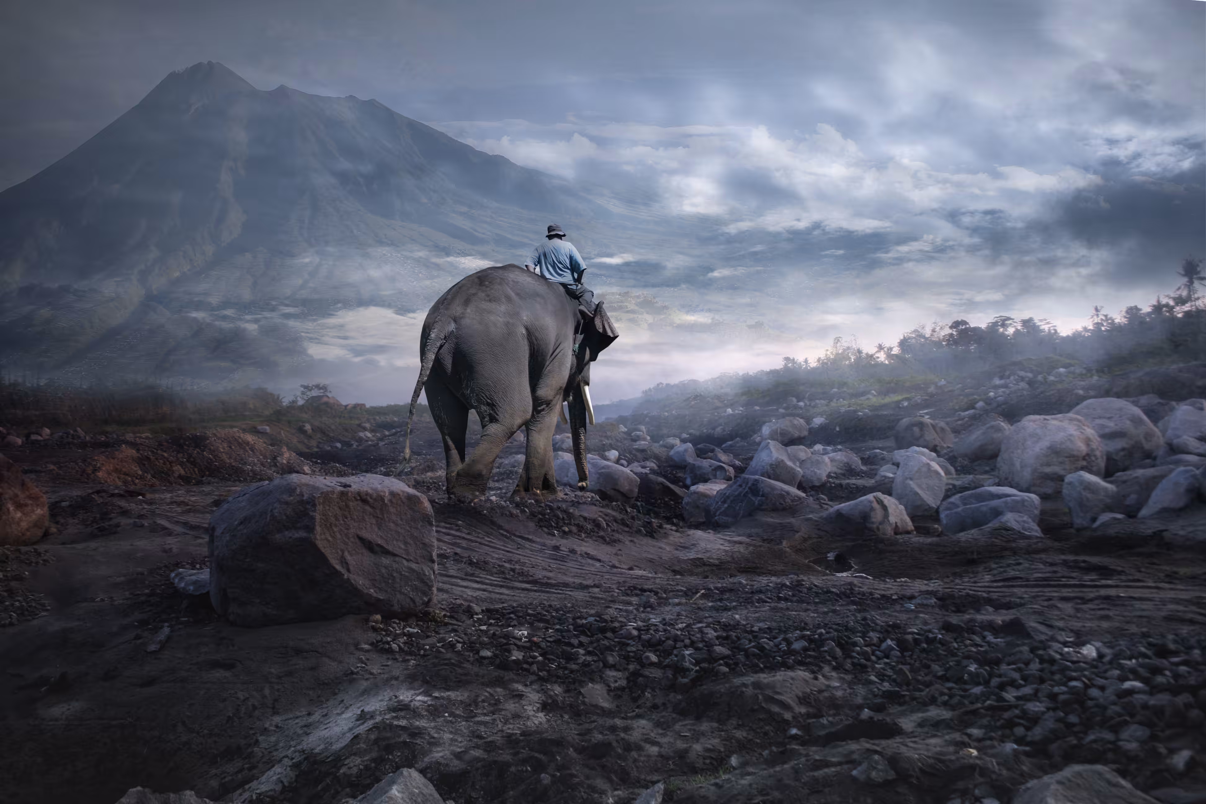 Elephant in the rockyland