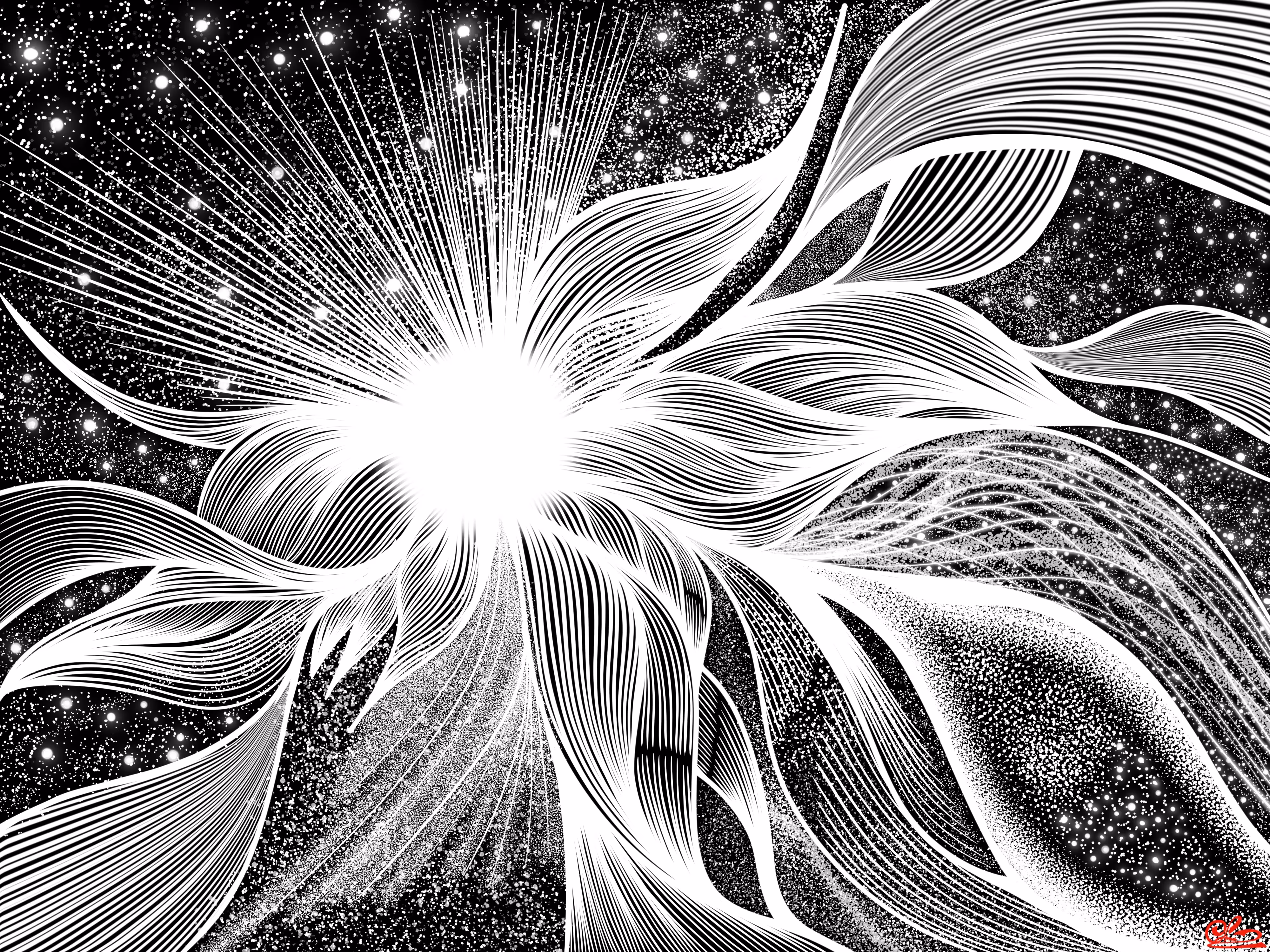 Cosmic Bloom in Motion