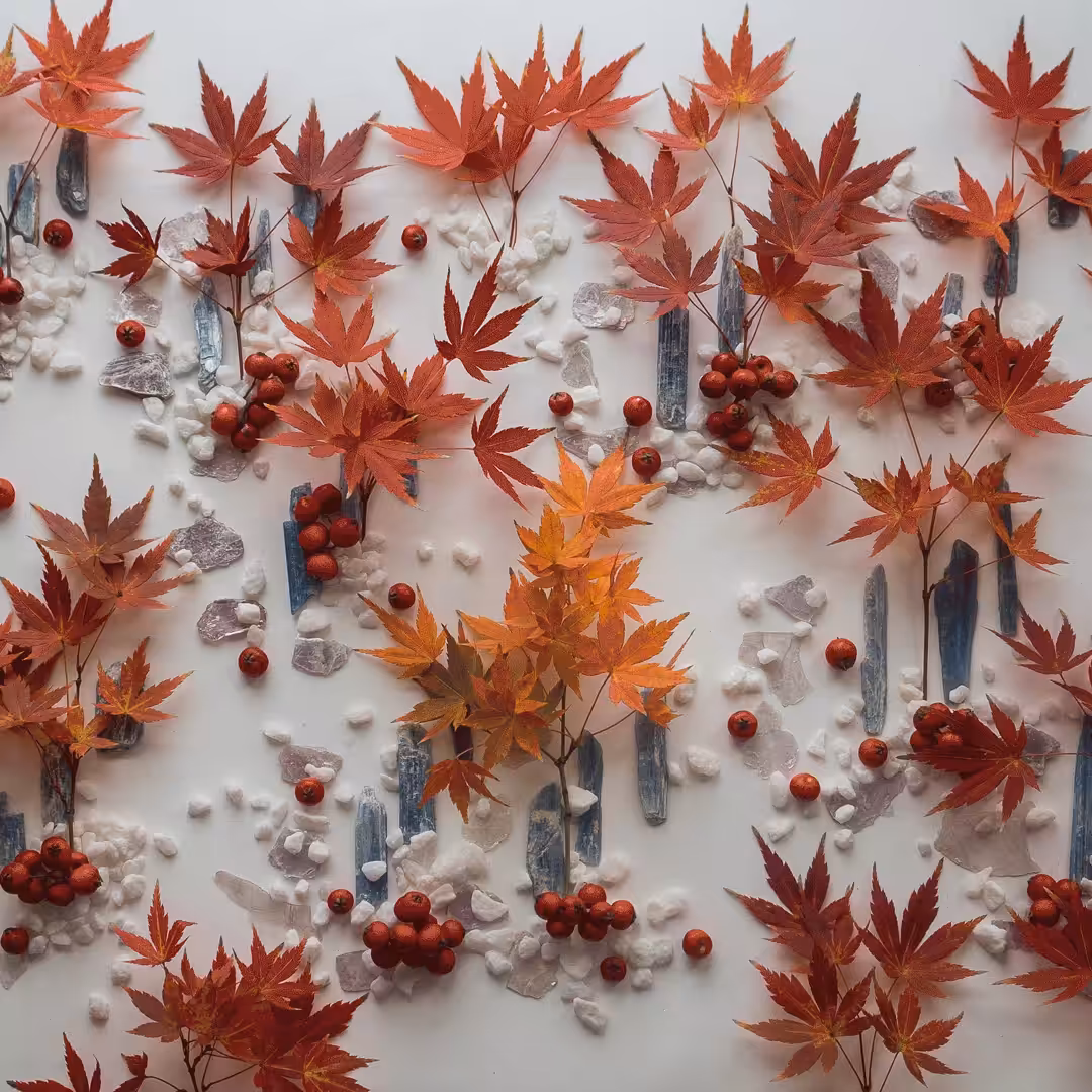 Autumn Leaves: Slower Version.