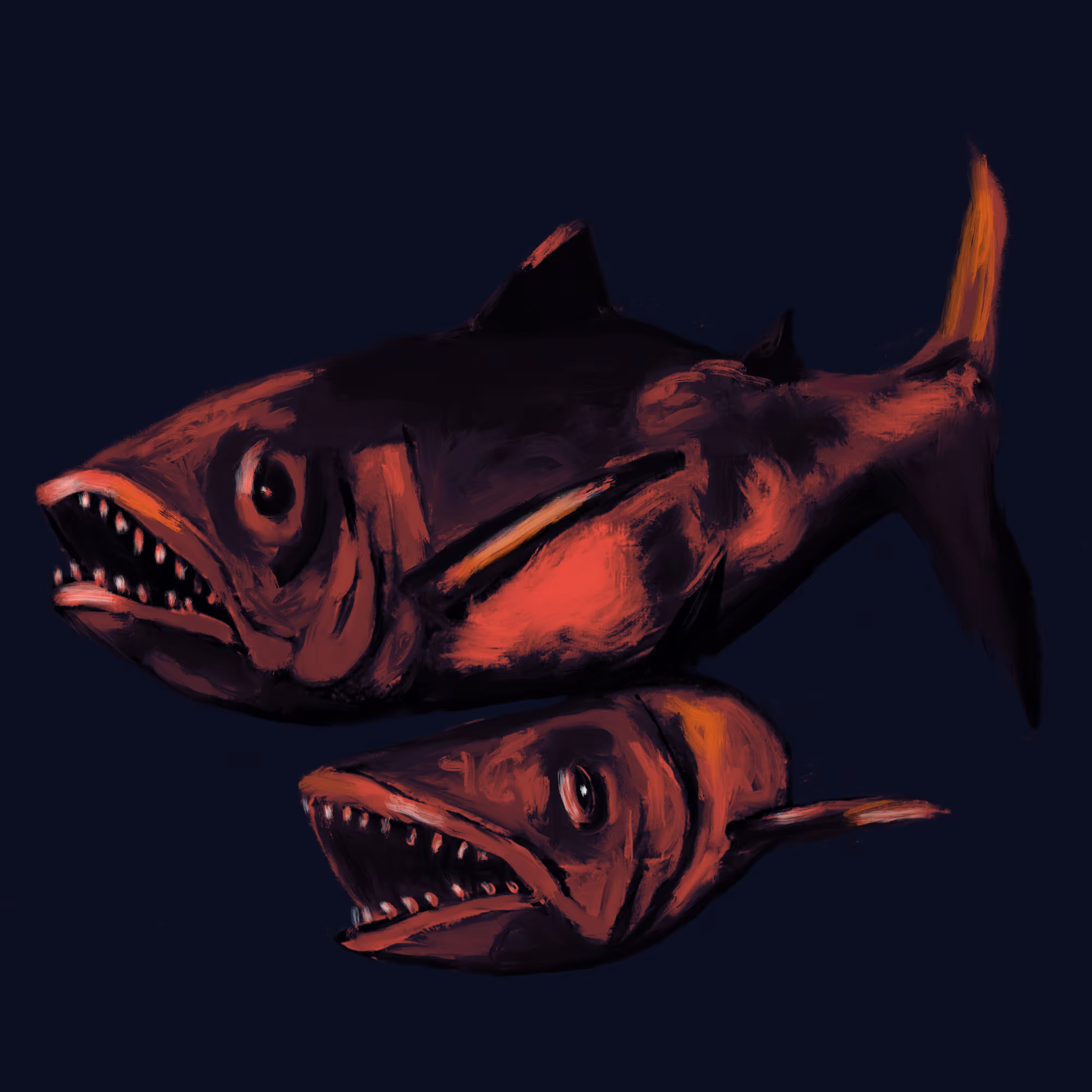 Red Tuna 