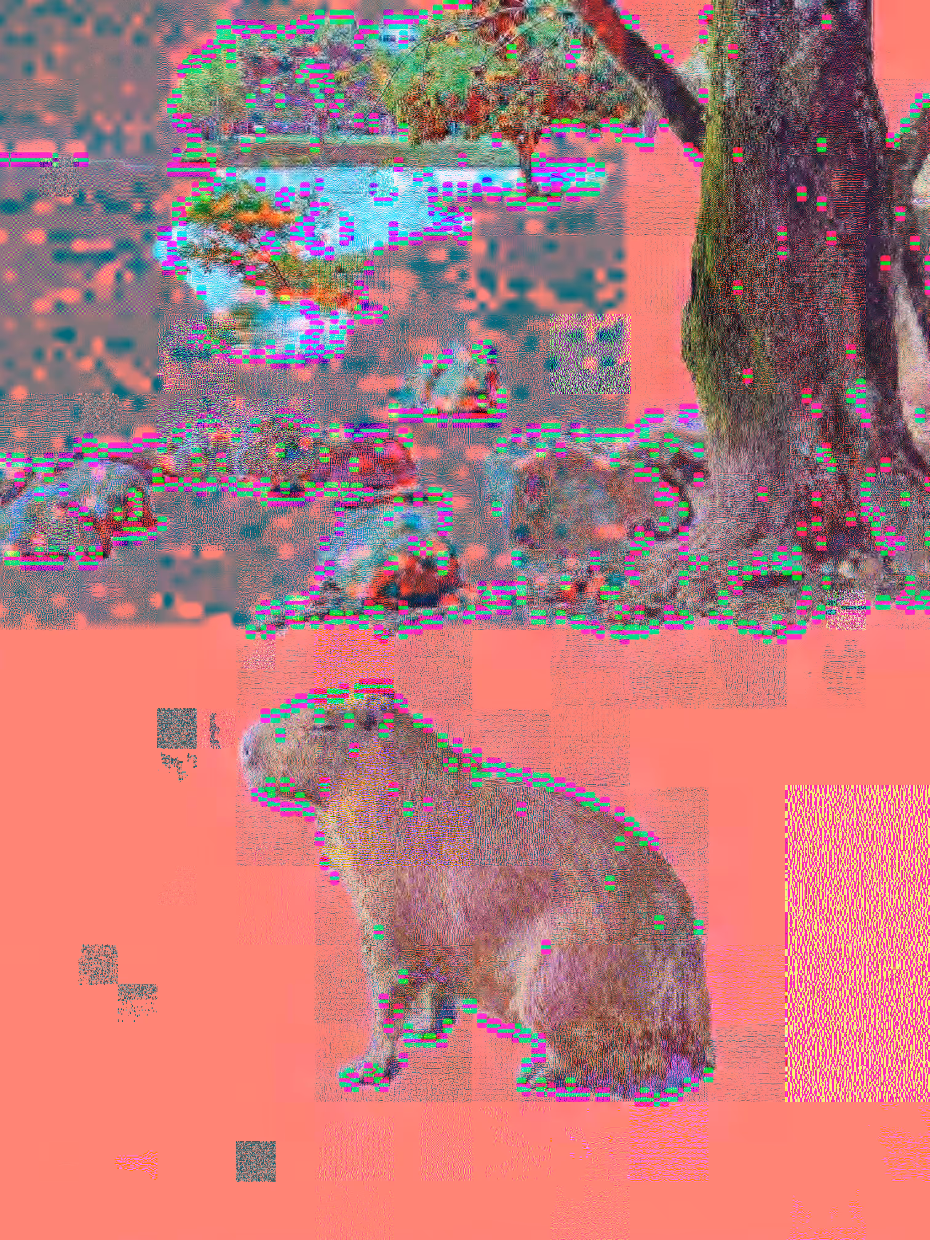 [ Atalaia // Lakeside Vibes ]