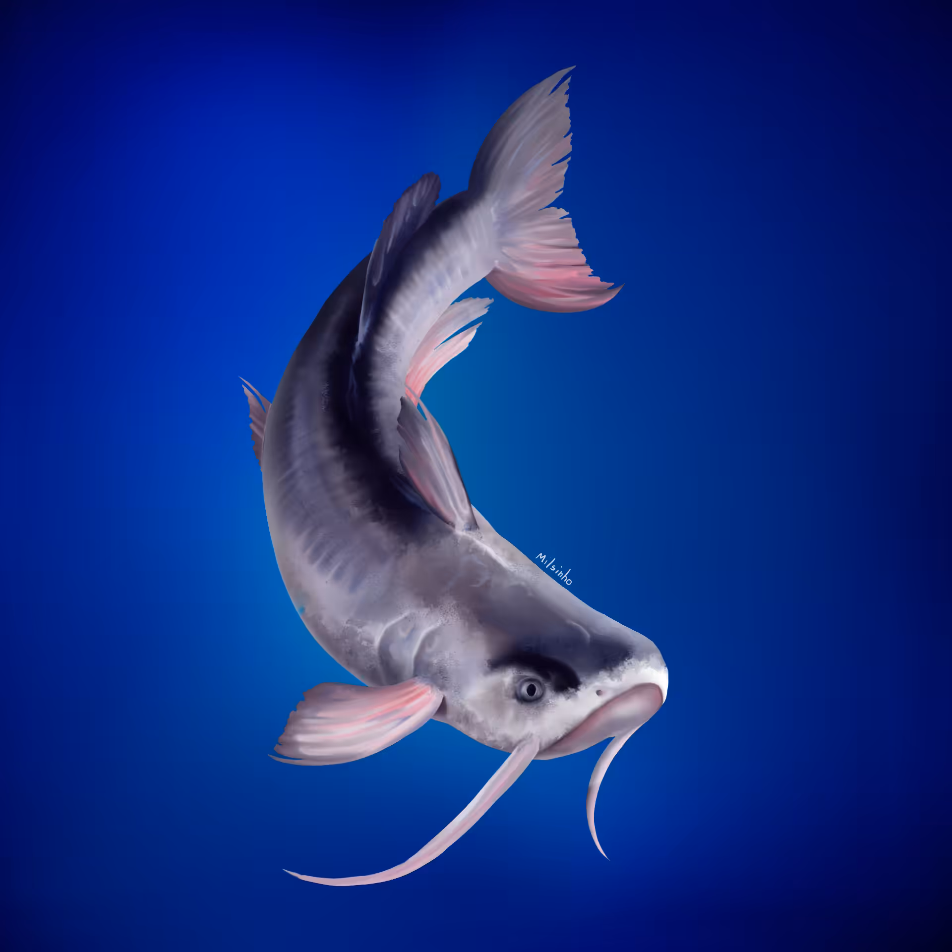 Catfish