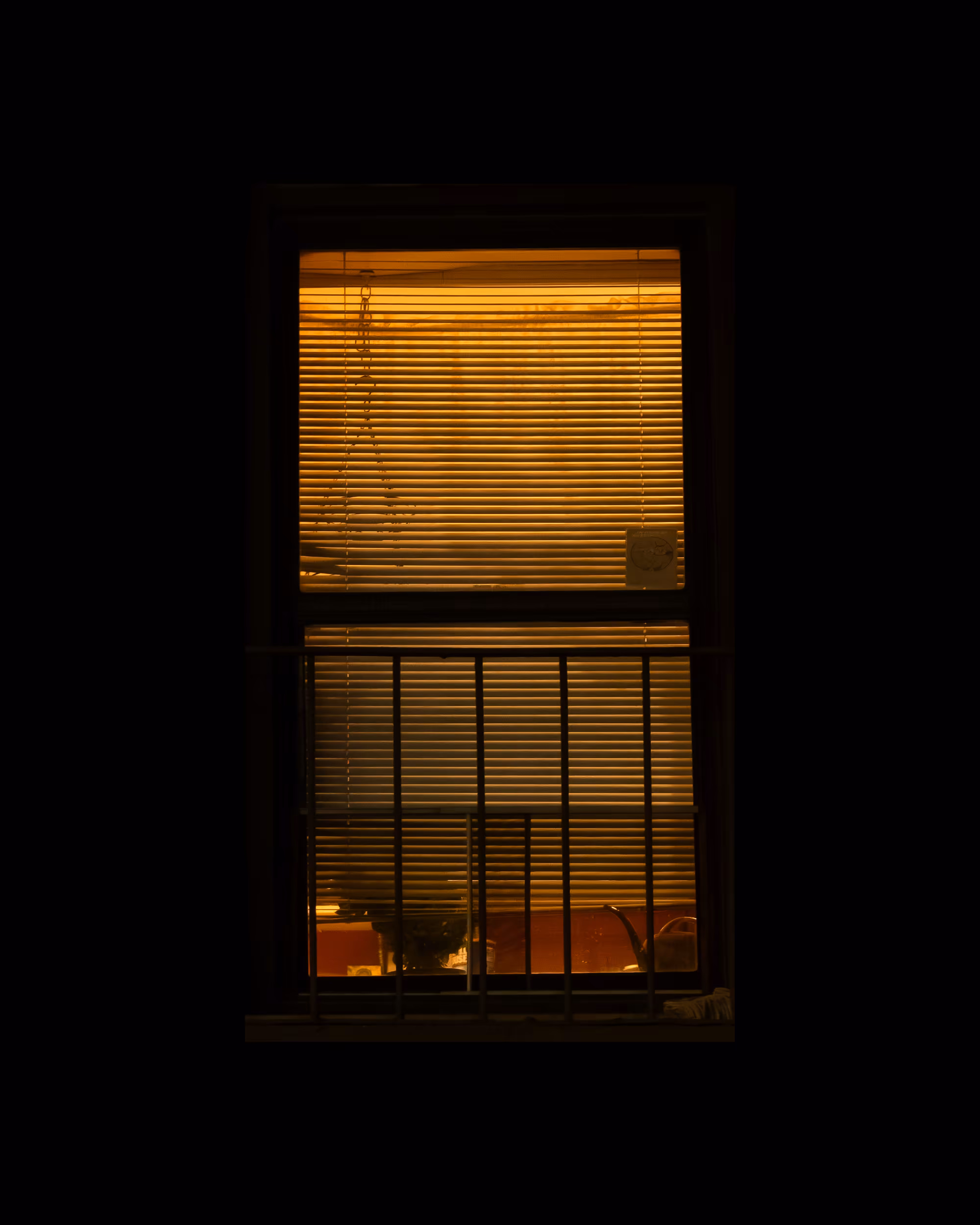WINDOWS // NYC: WINDOW 426