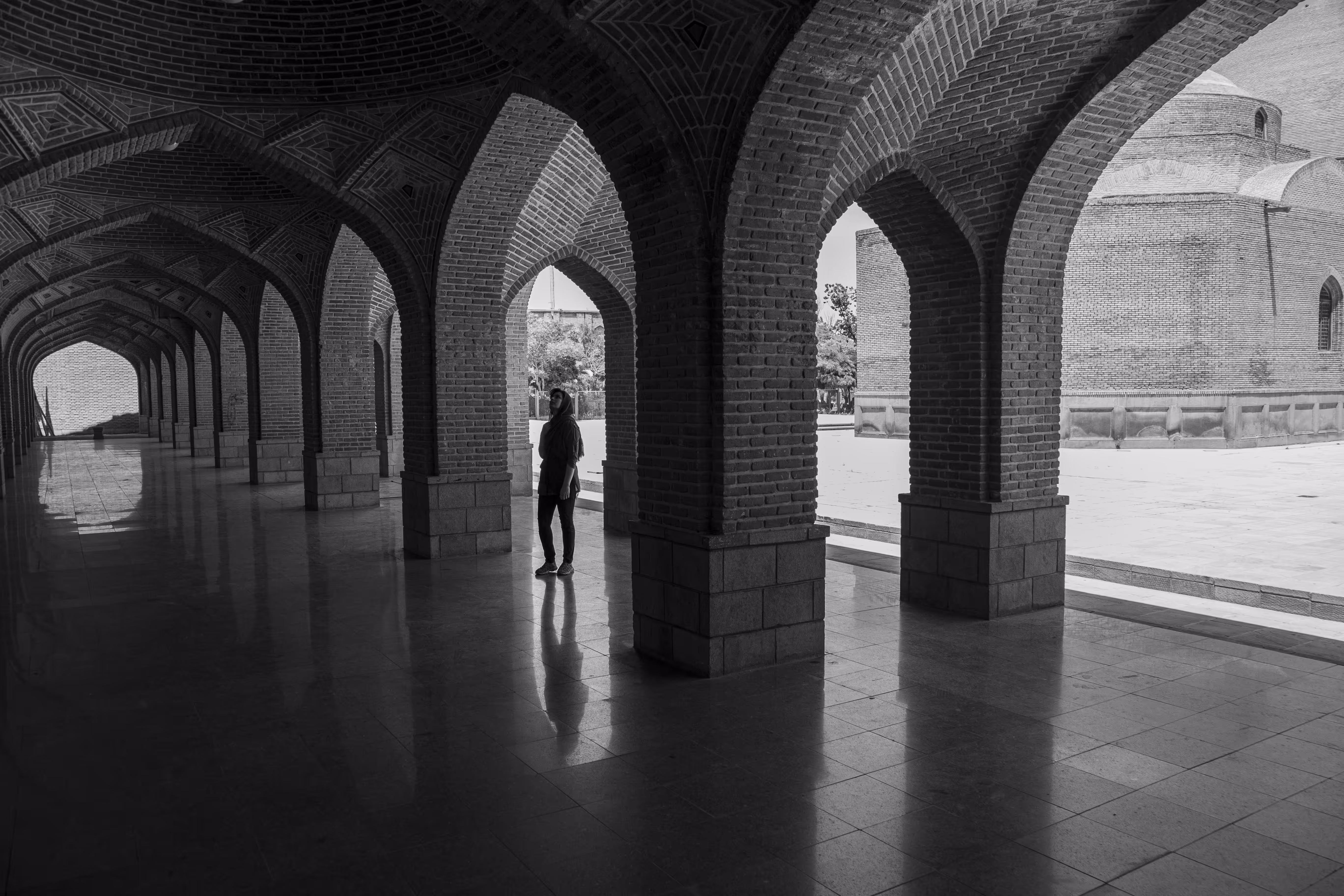 In Search of Beauty