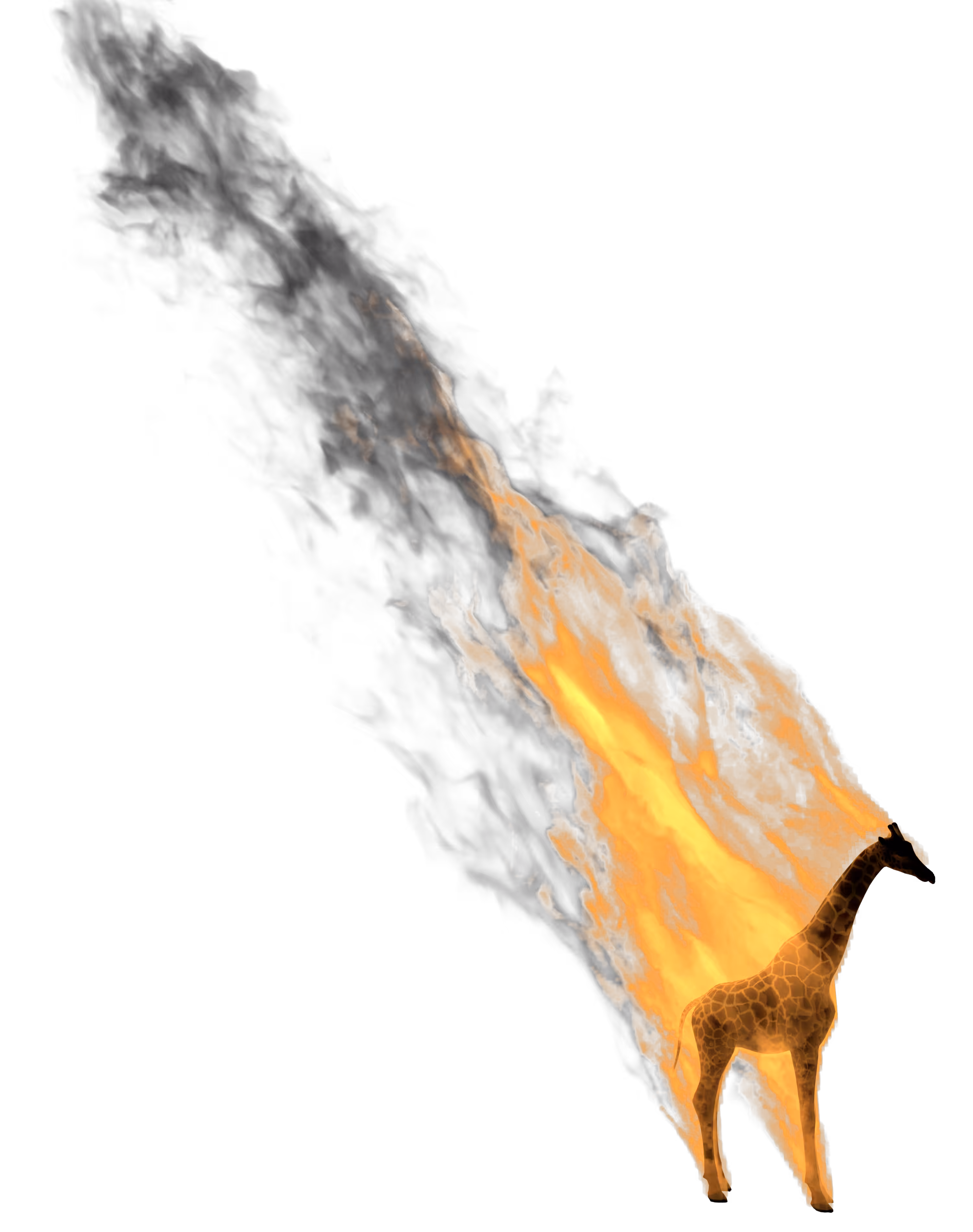 burning giraffe 