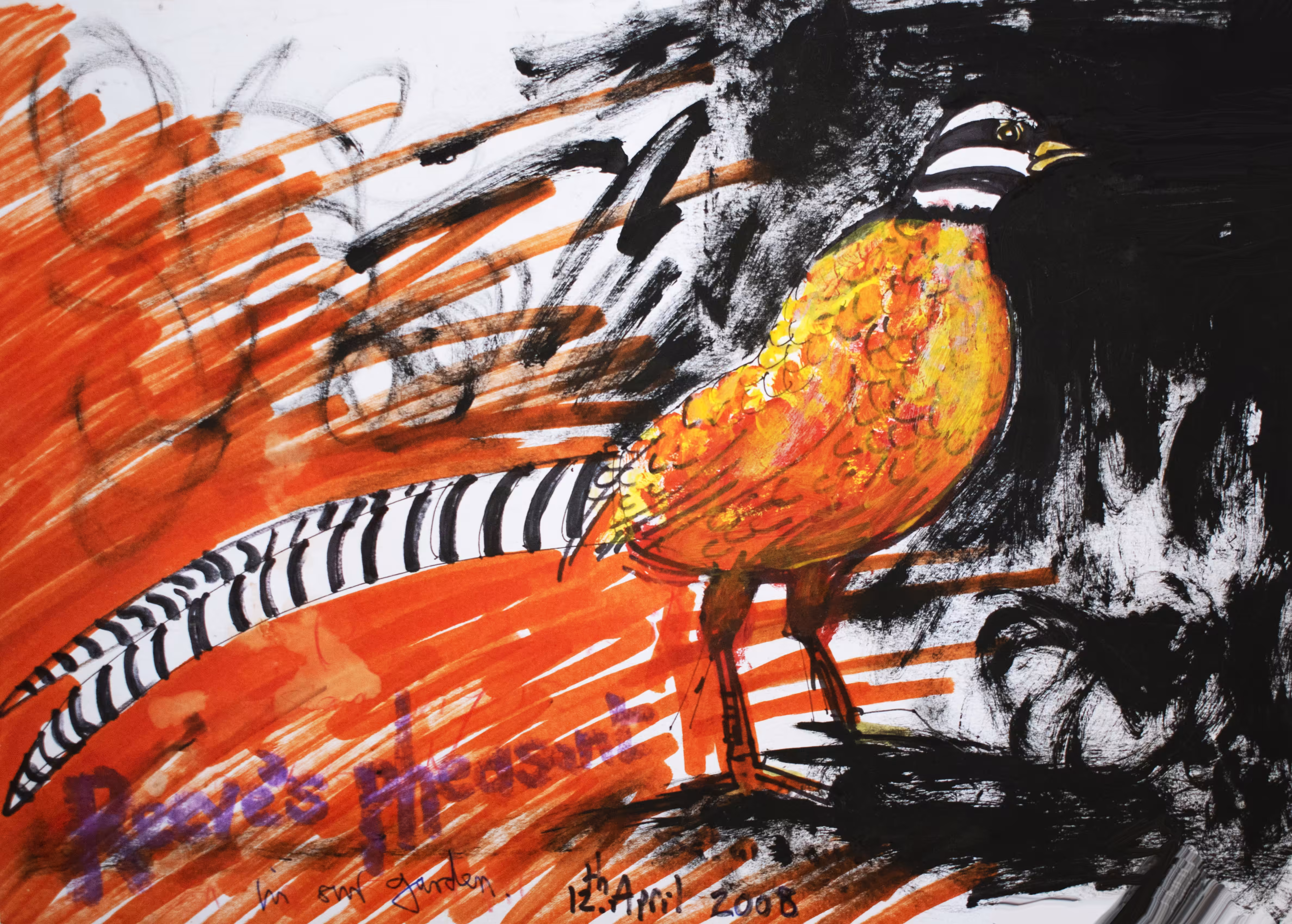 Reeve's Pheasant 