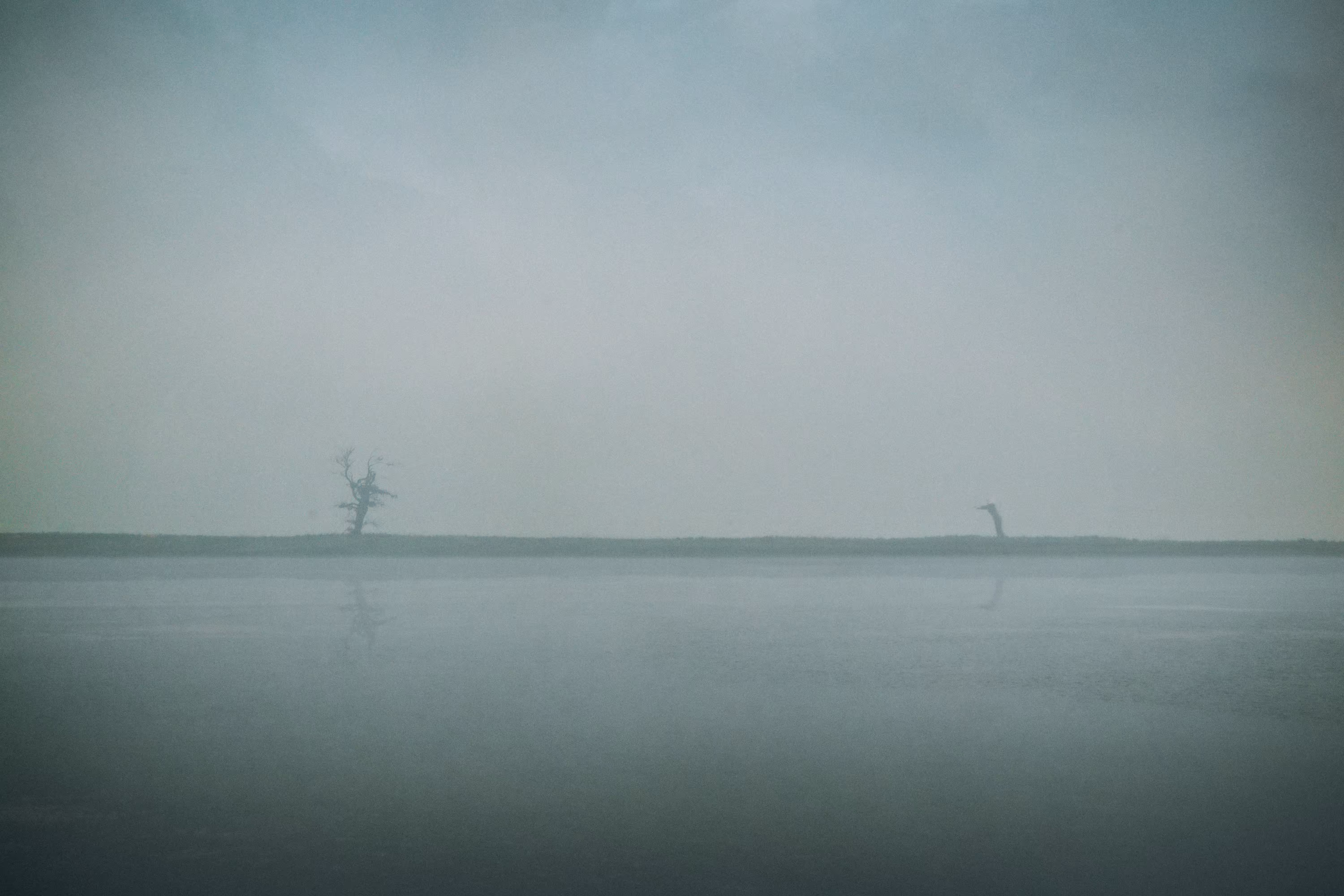 Hauntology Situations: Before the Inhuman Silence