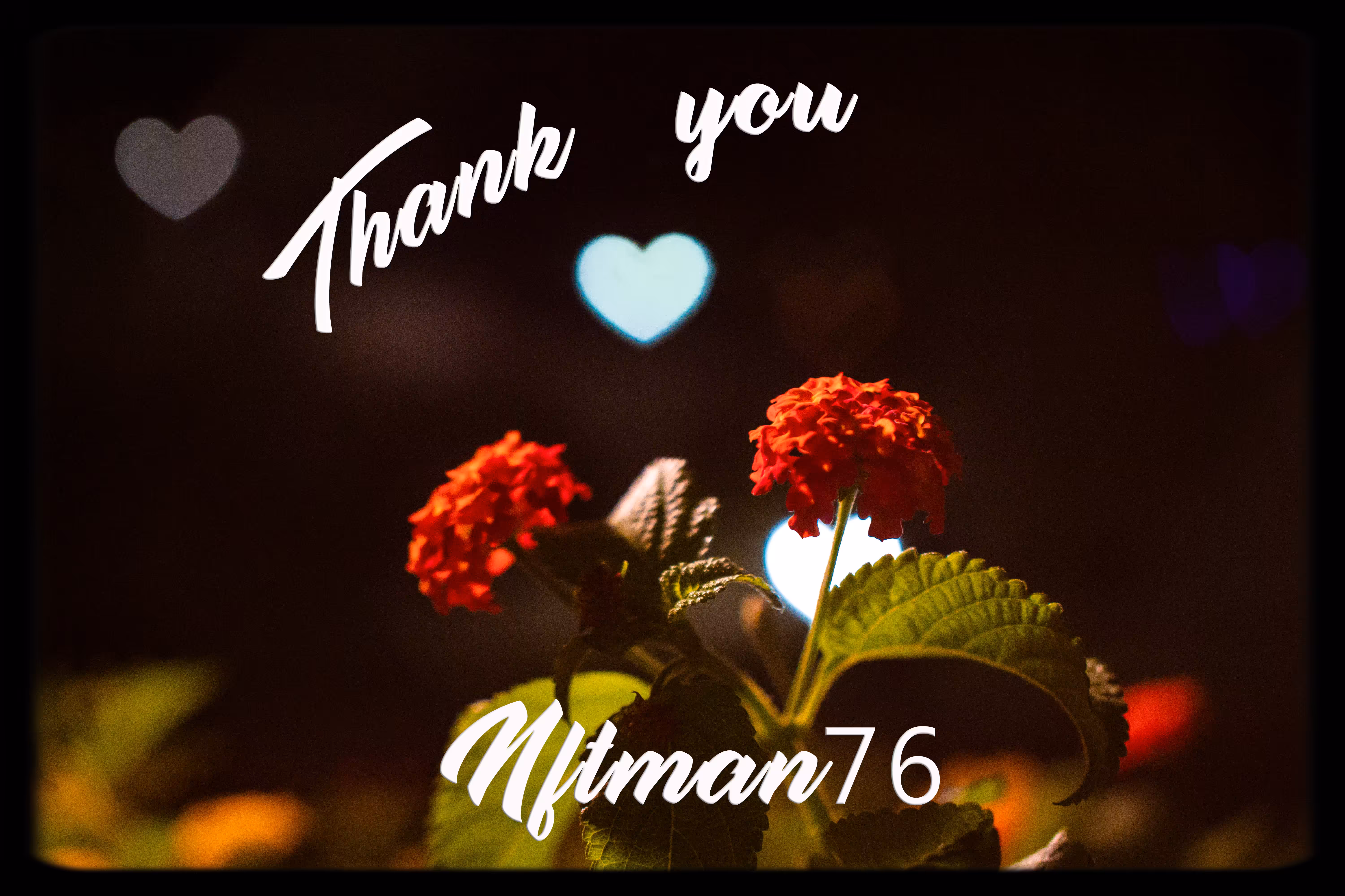 Thank You Nftman76