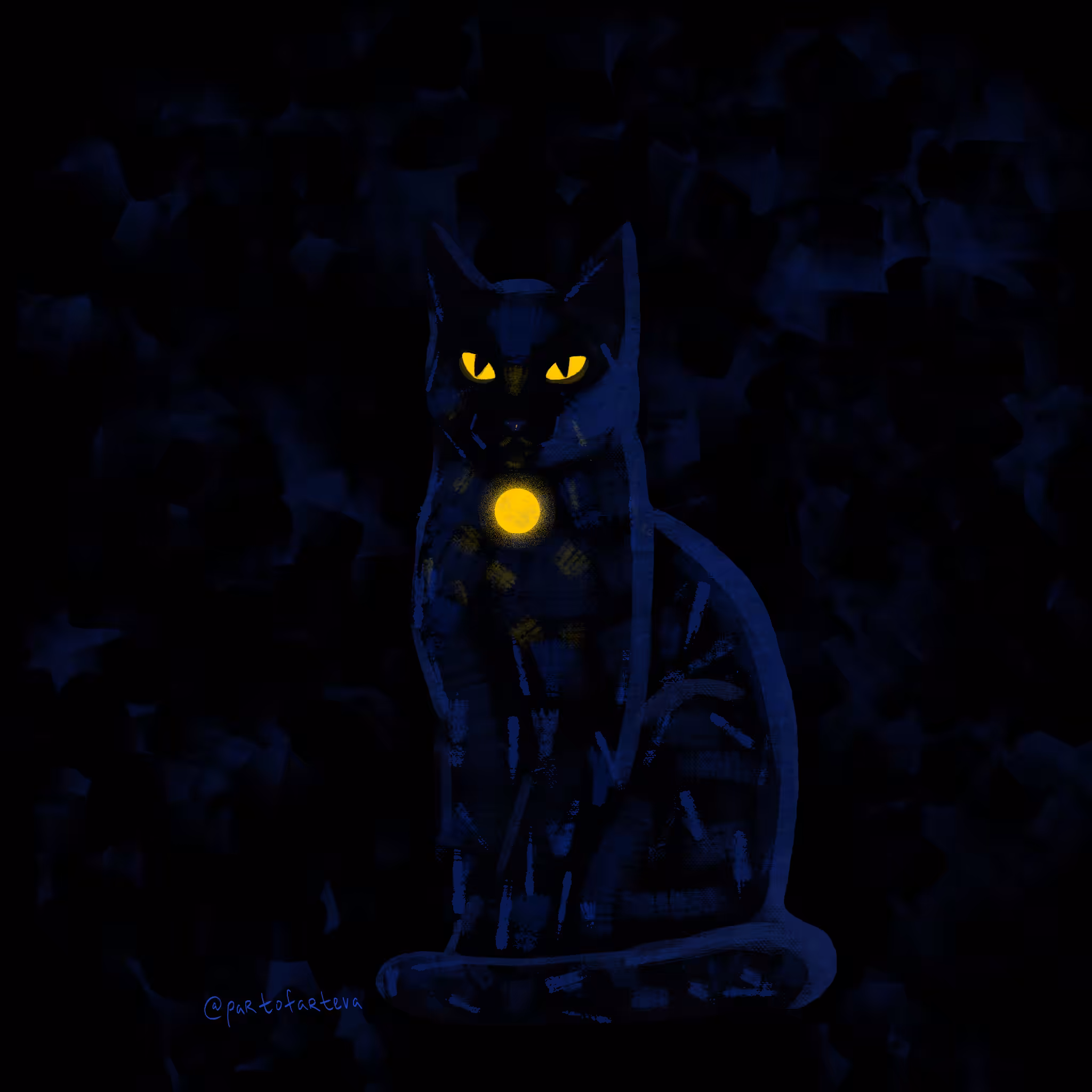 Midnight the black cat