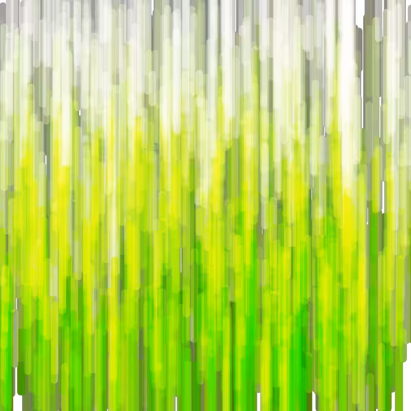 Hatch Field 001 #81