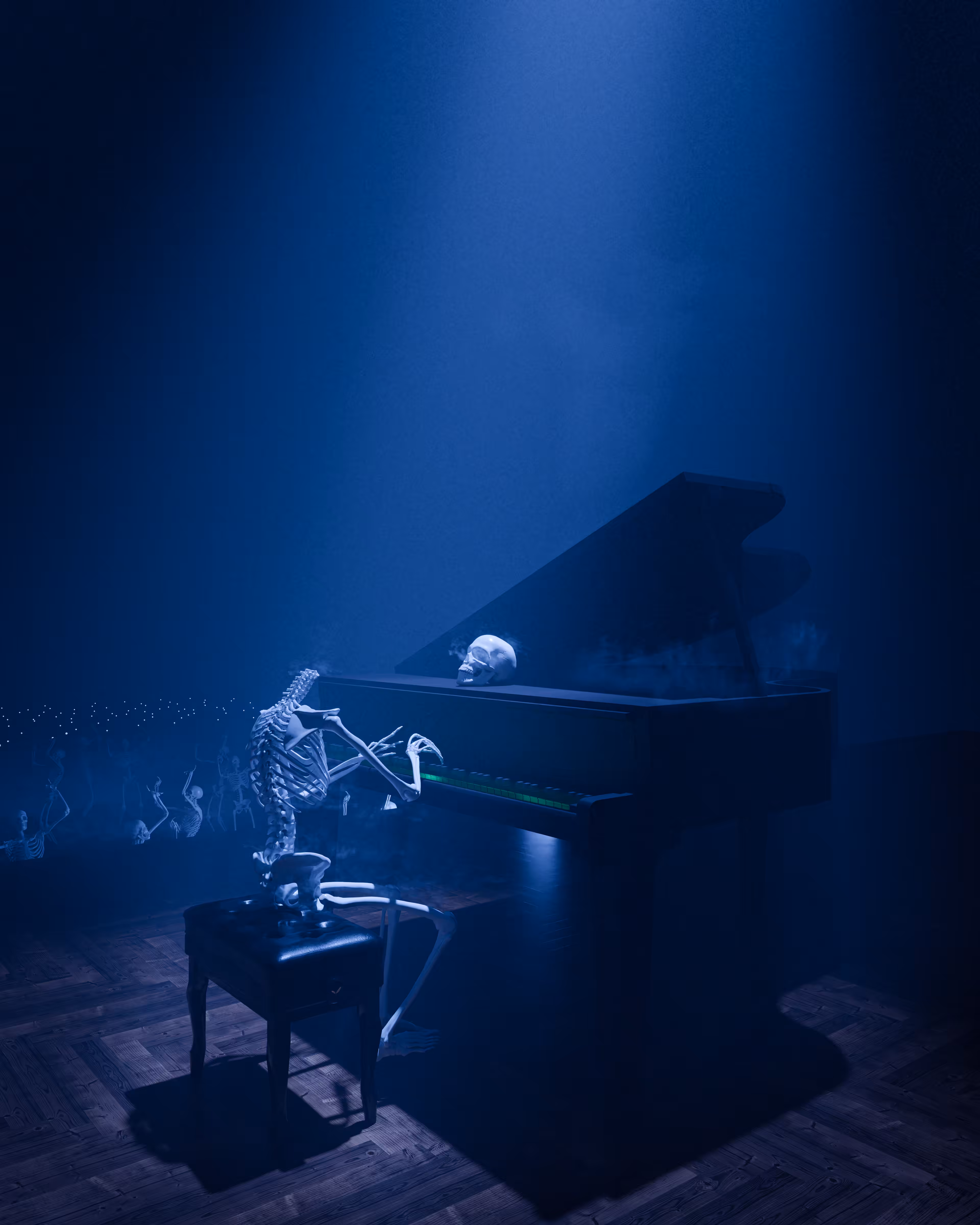 The Concert