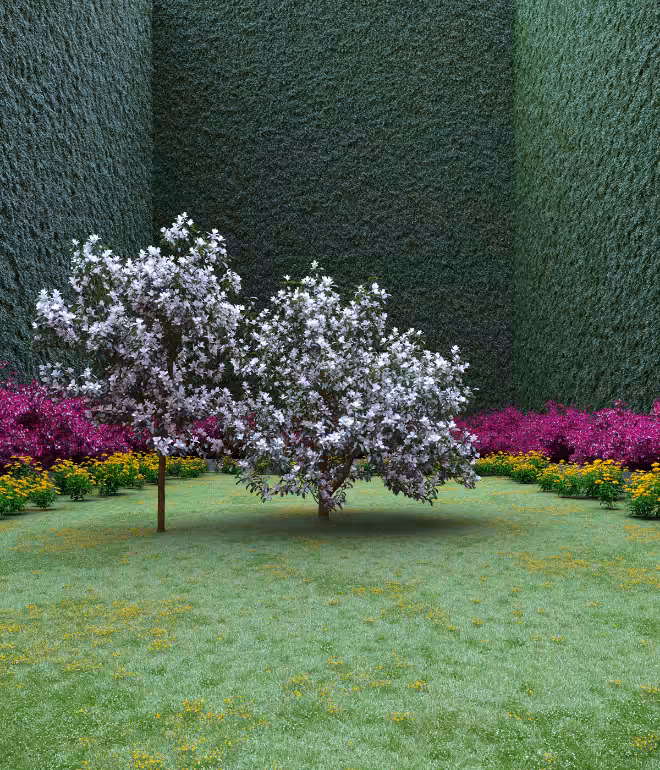 Garden of Imagination #27