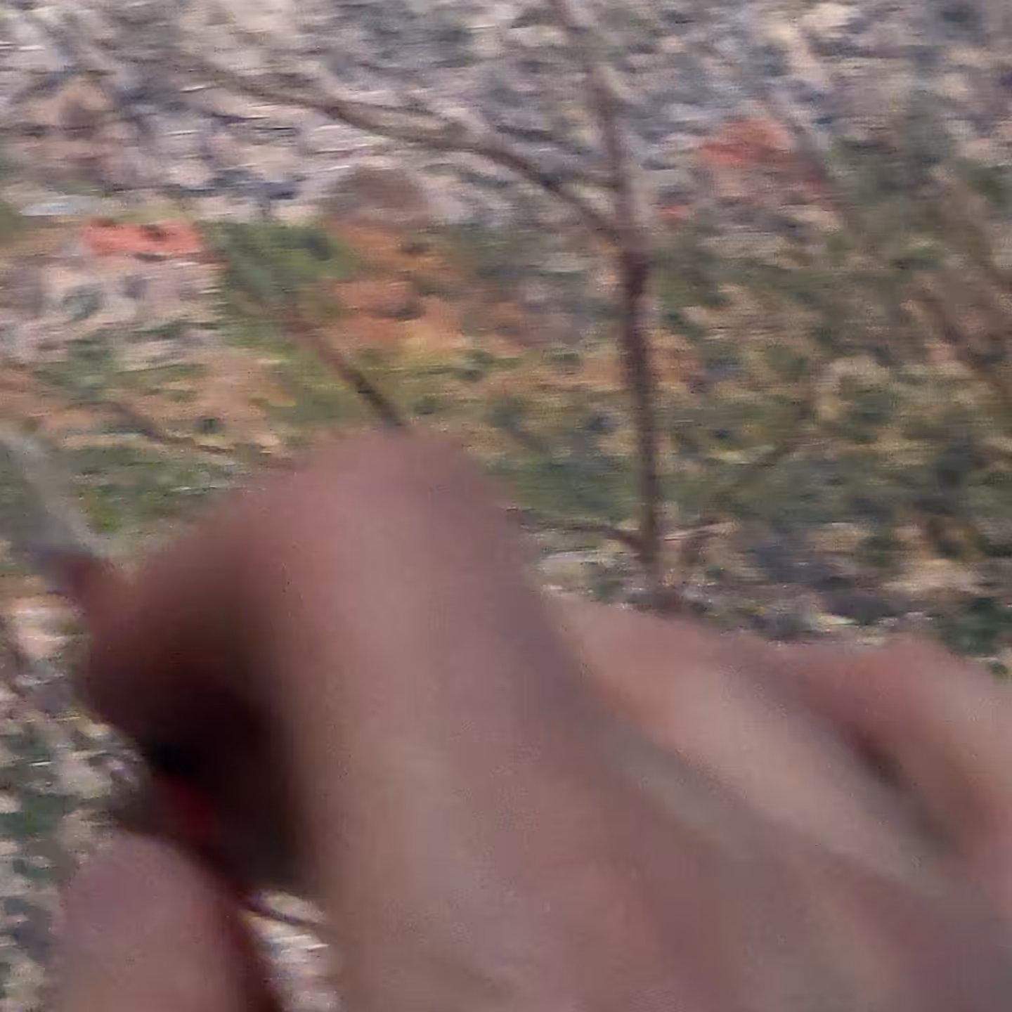 Reprogramming Monet II, Jan 2022 in Milan