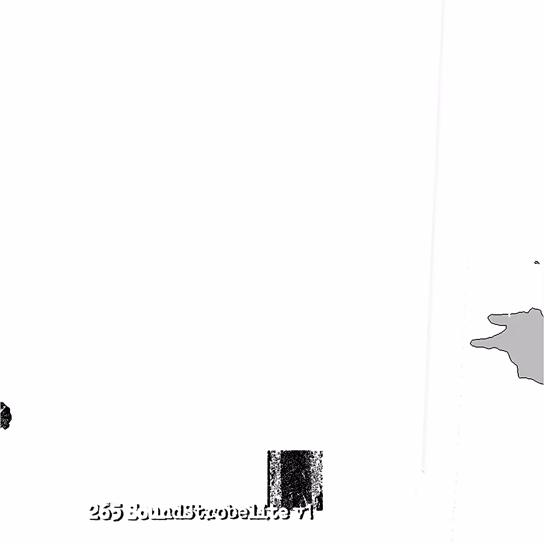 265 SoundStrobelite v1