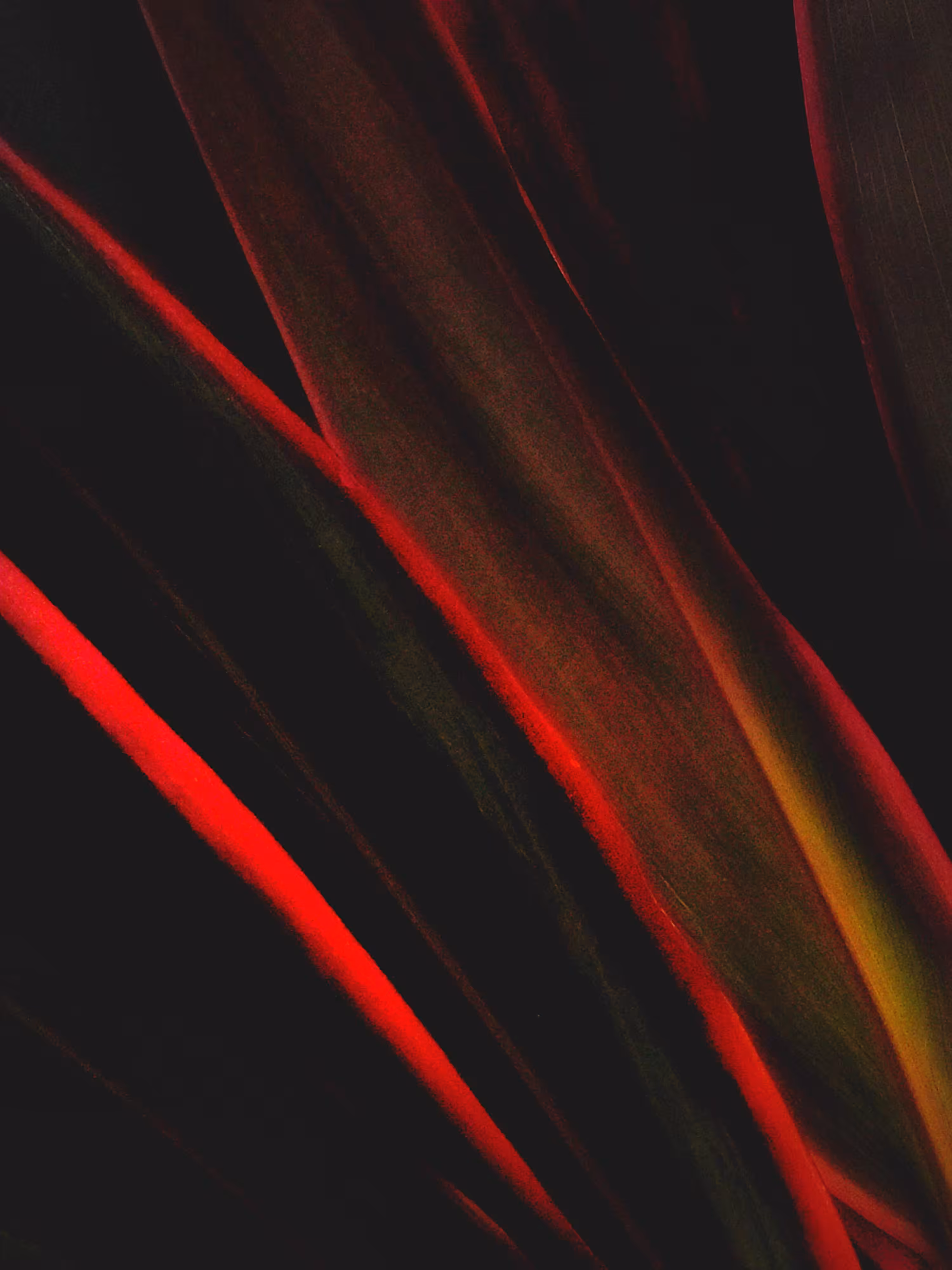NEON