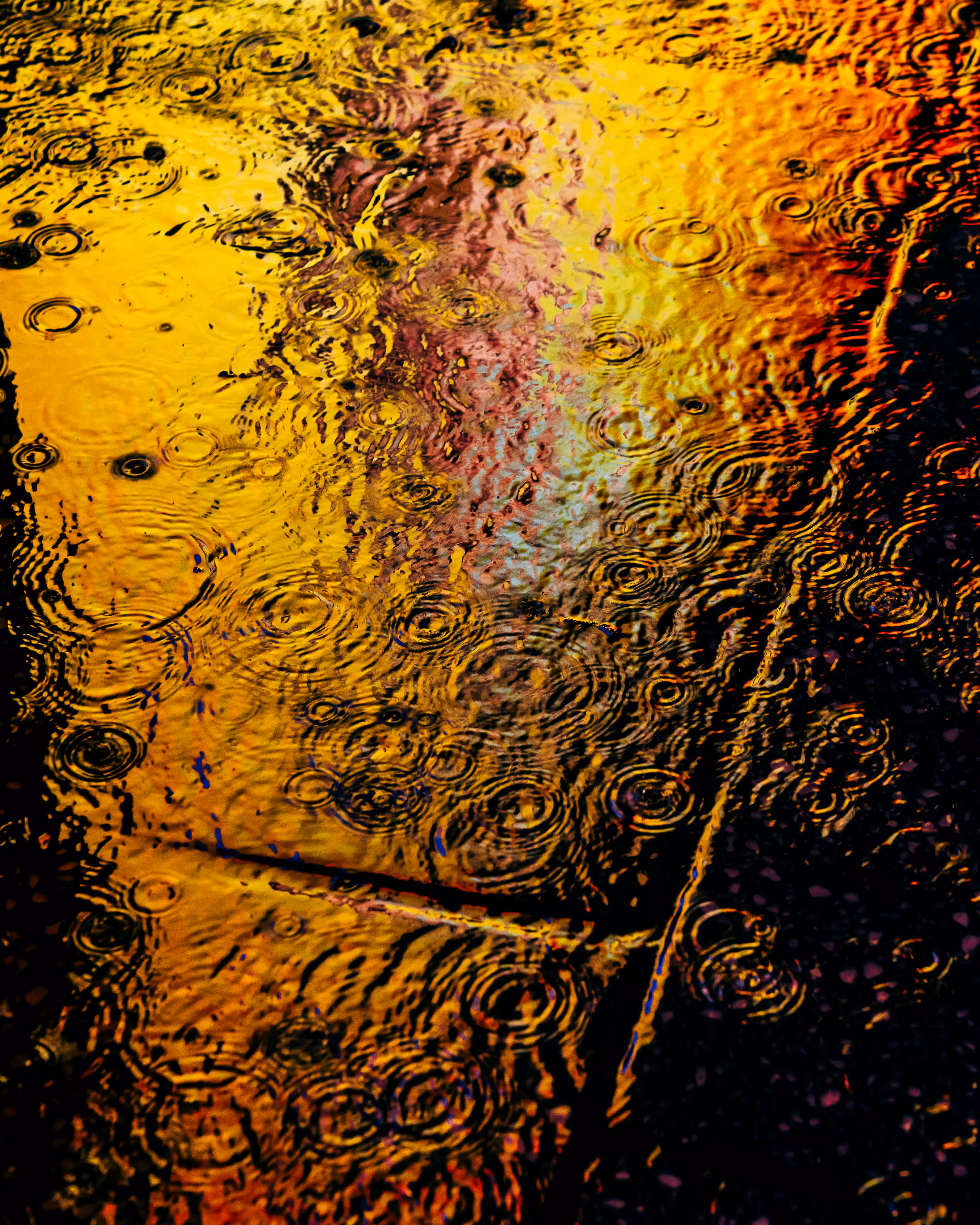 DRIP DROP: DRIP #732