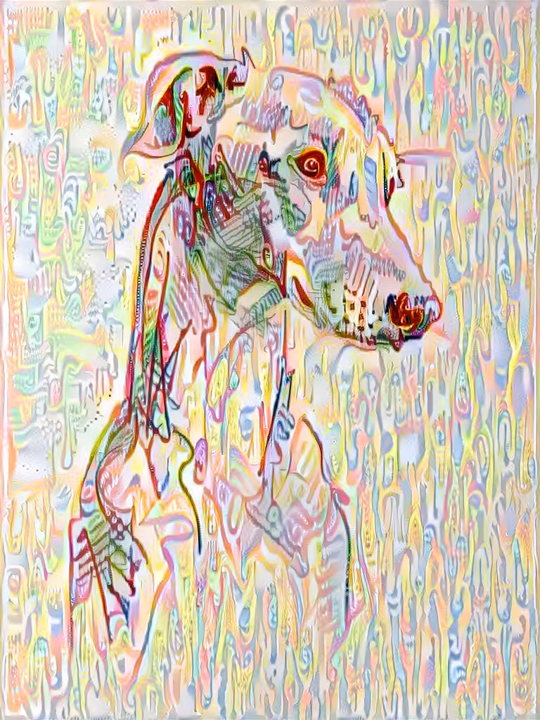 Multicolor dog