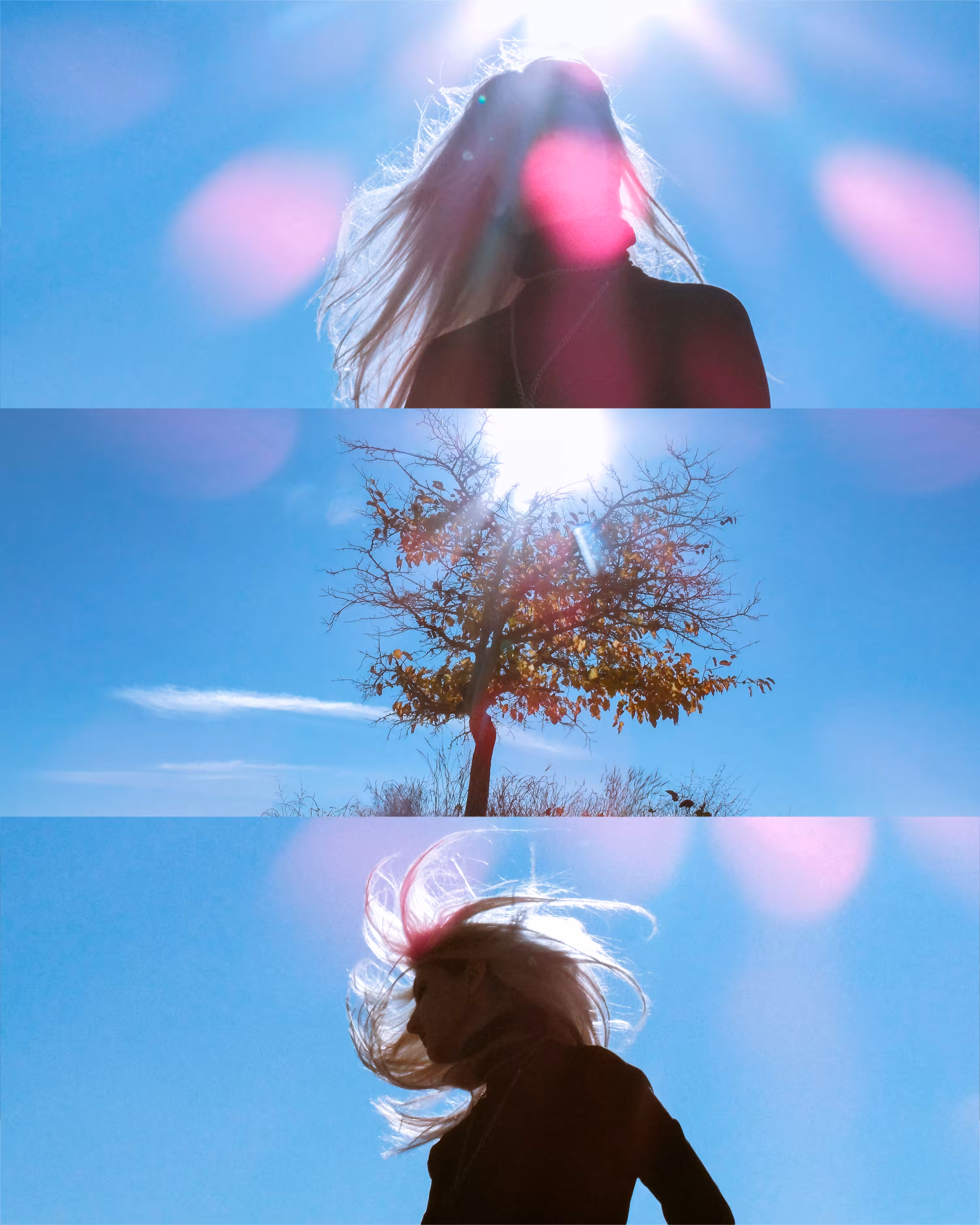 The Healing Tree