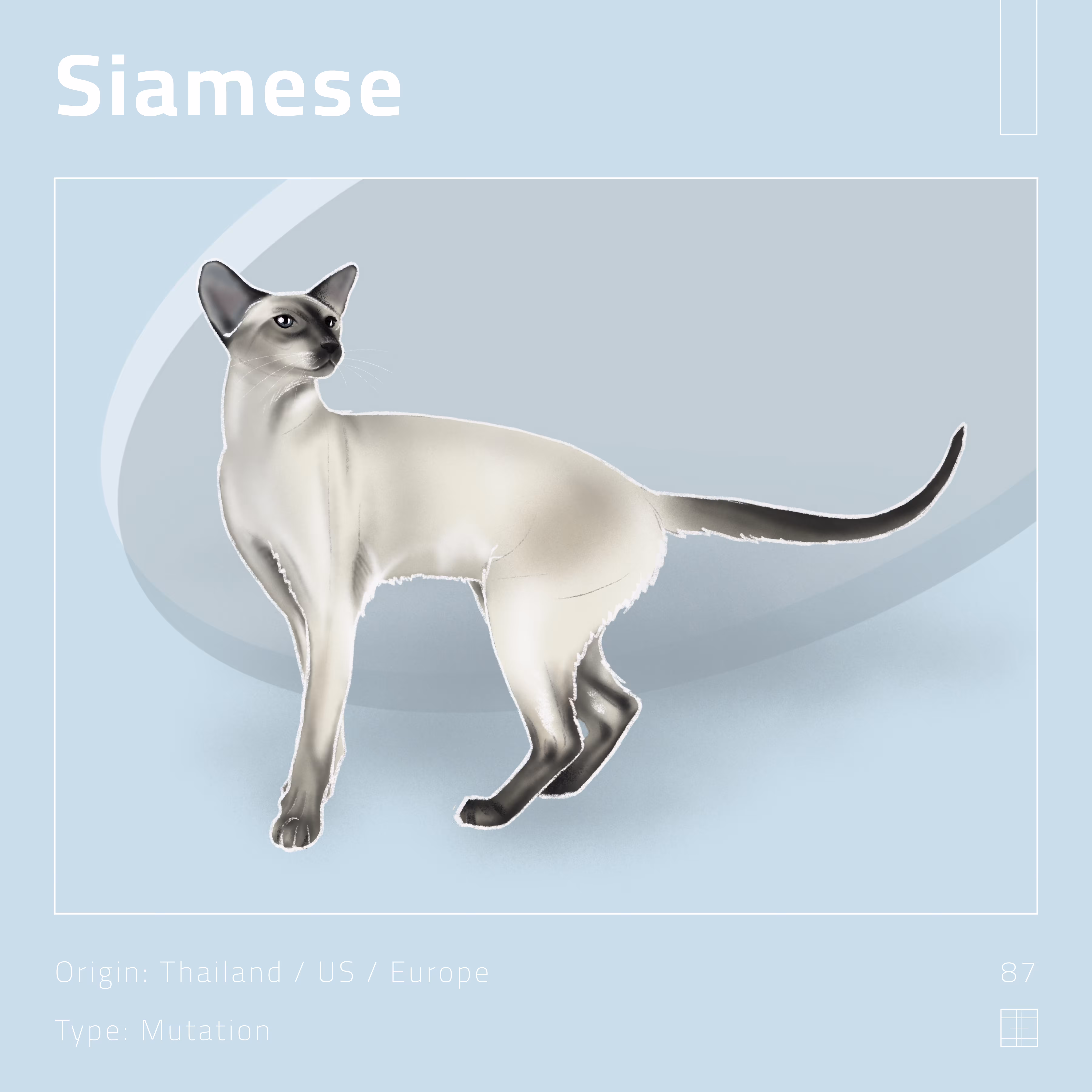 87 – Siamese