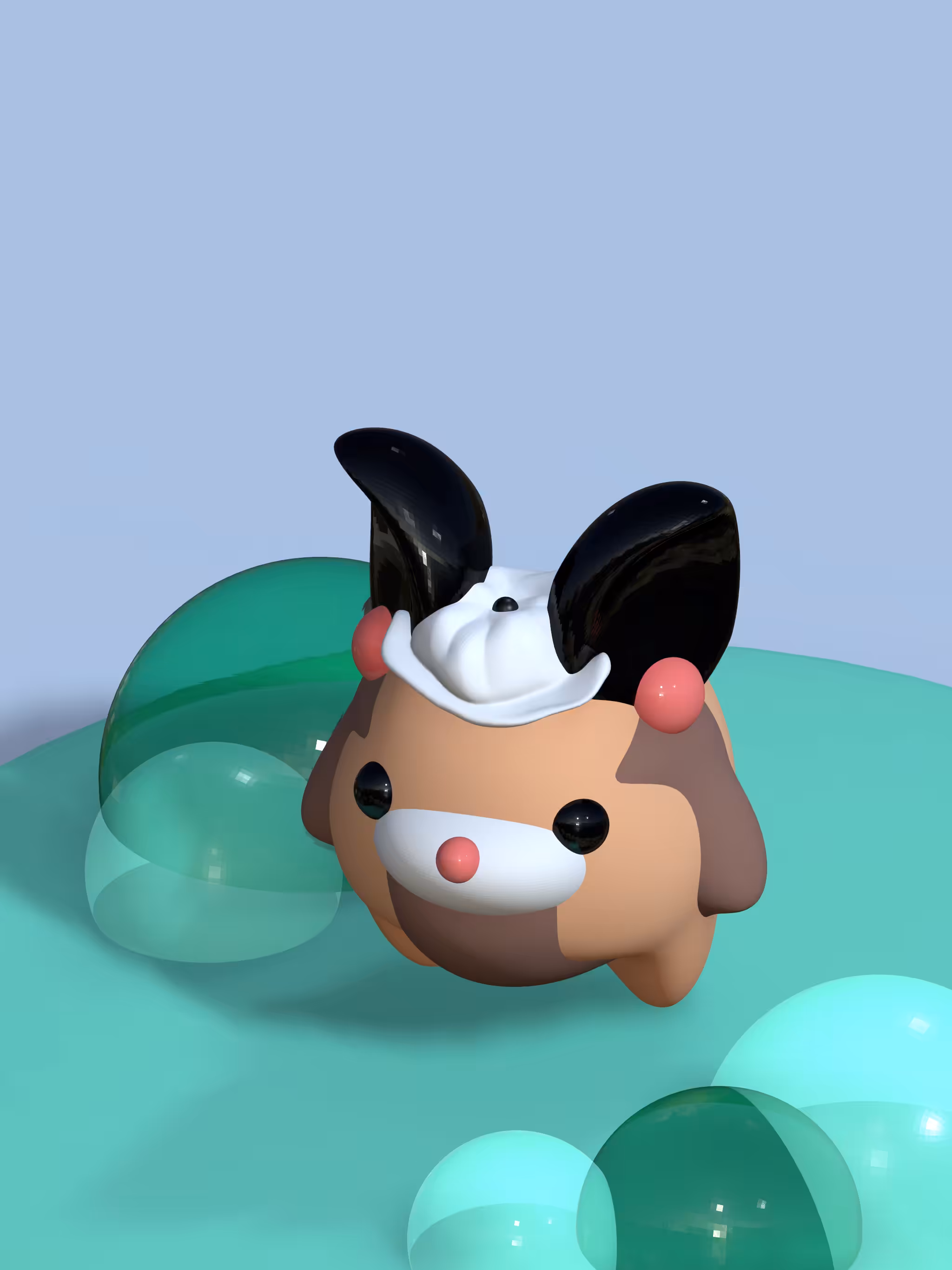 Chinchi #10