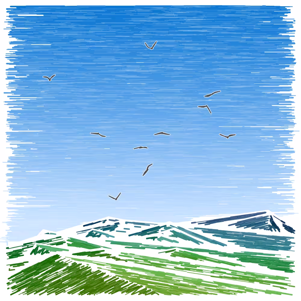 Mount Doodle #200