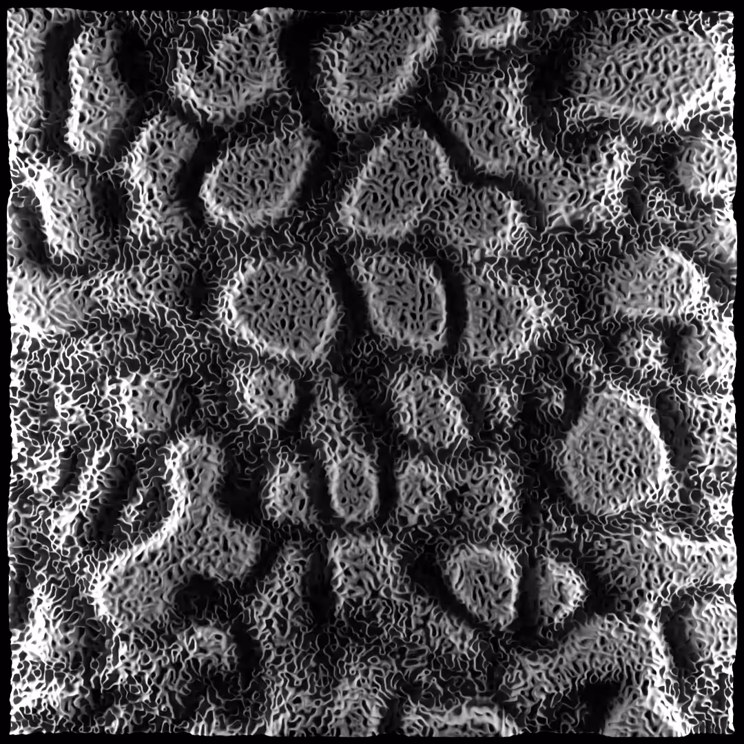 Generative Noise Patterns 30/50 (Bacteria Noise)