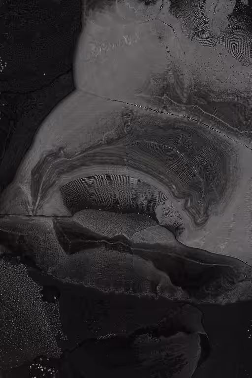 Dactylogram #49