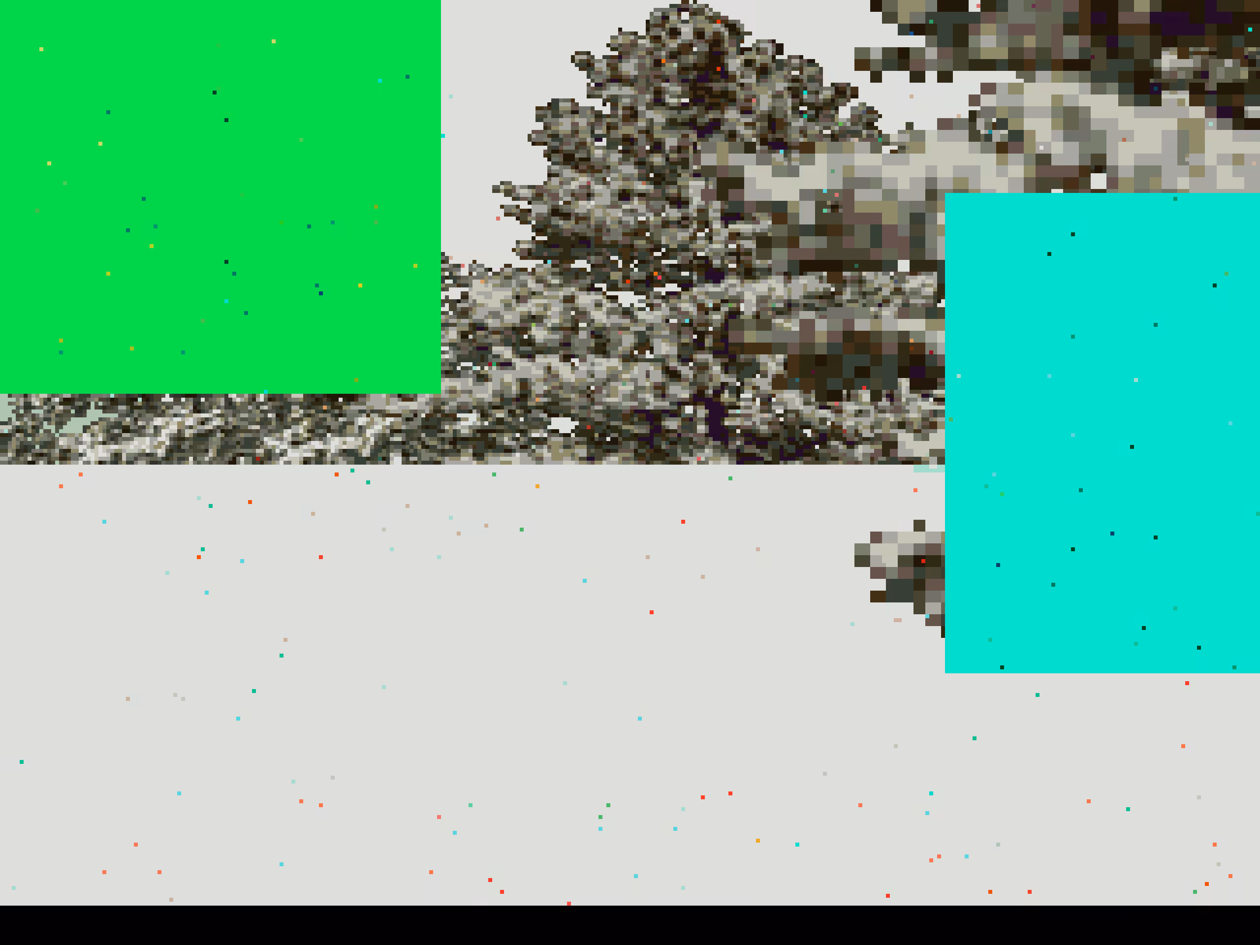 𝘥[S T I L L] · 024