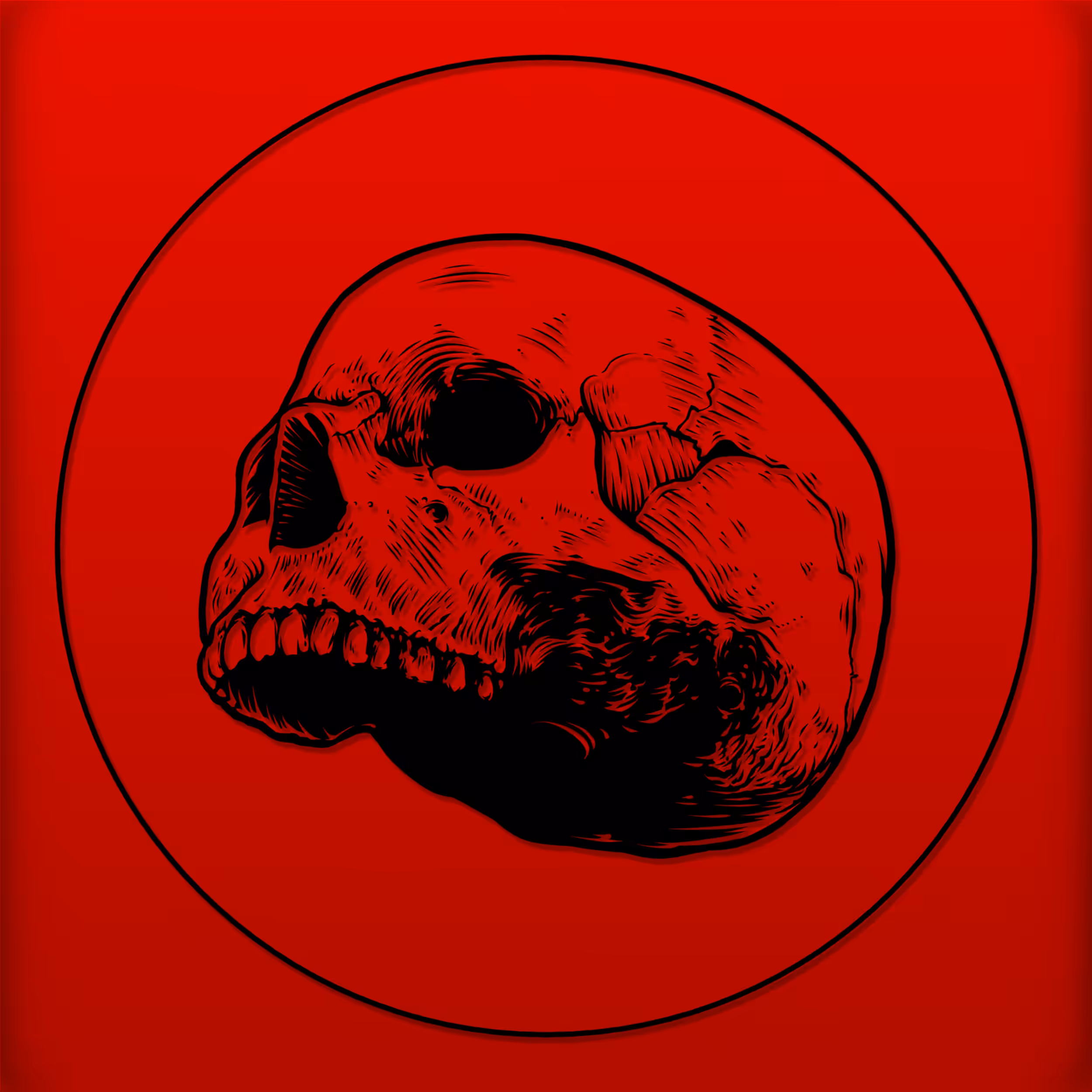 D4V1D