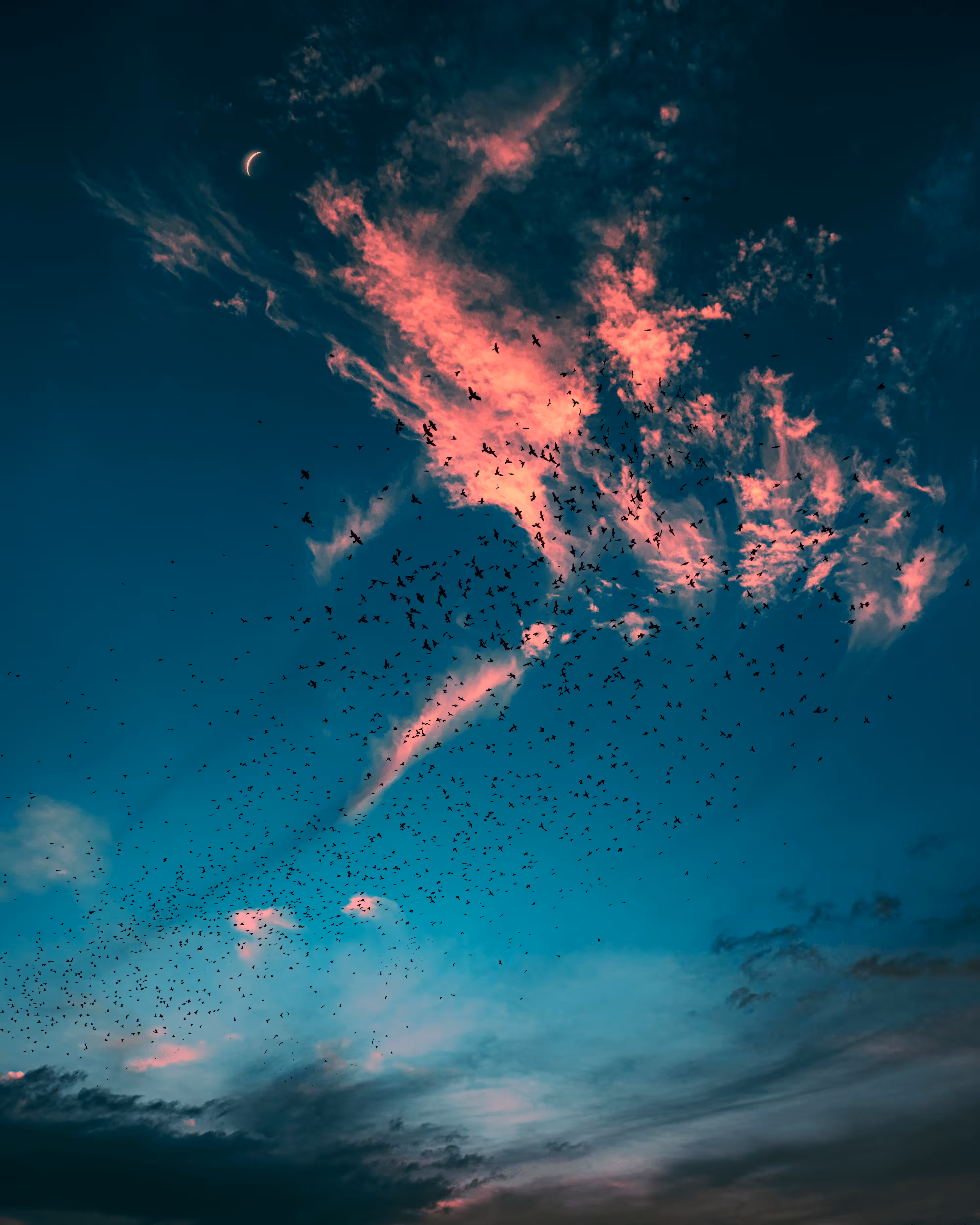 Flock of Us #26